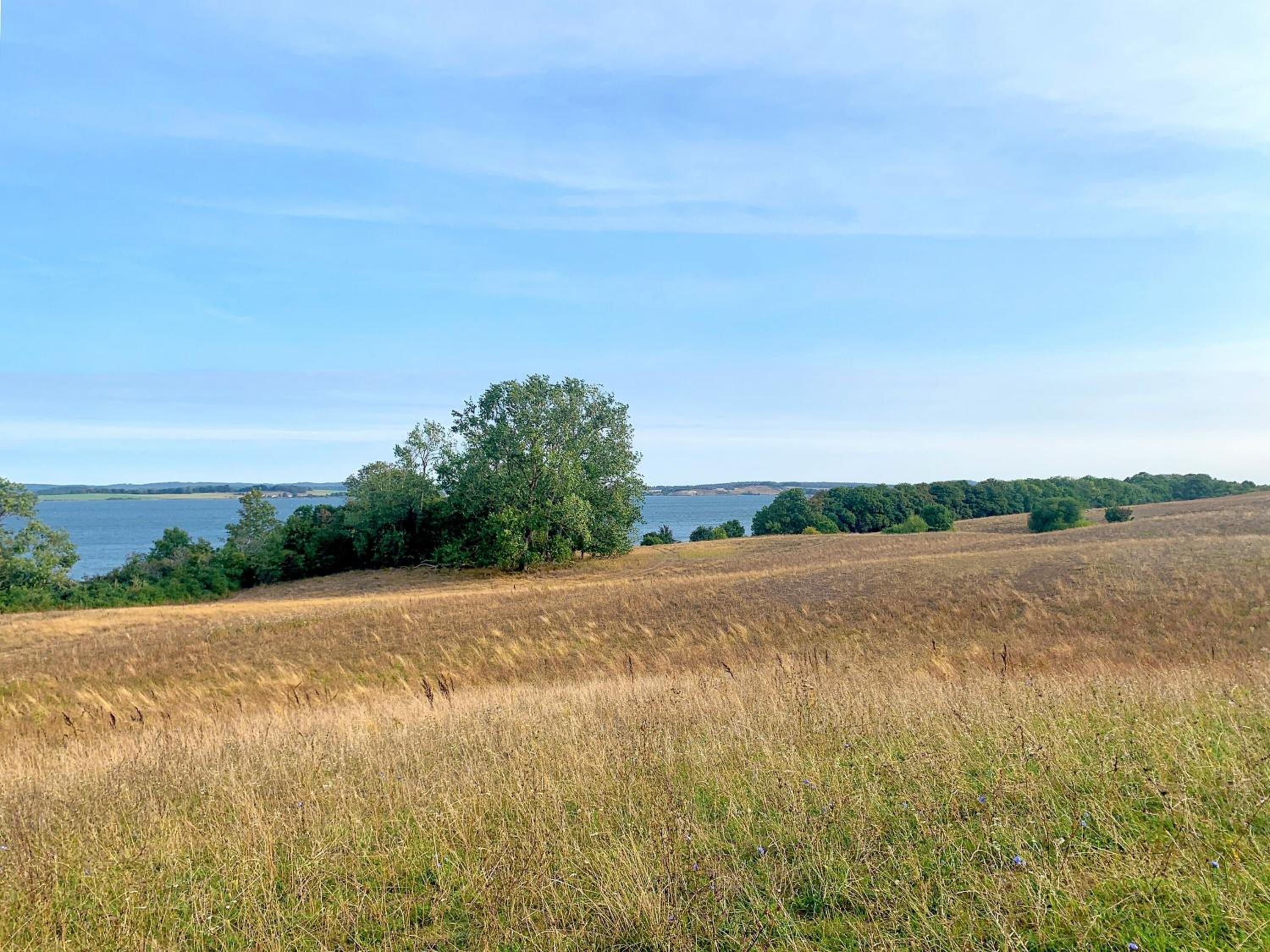 Dat Dörphus am Bodden - WG 01