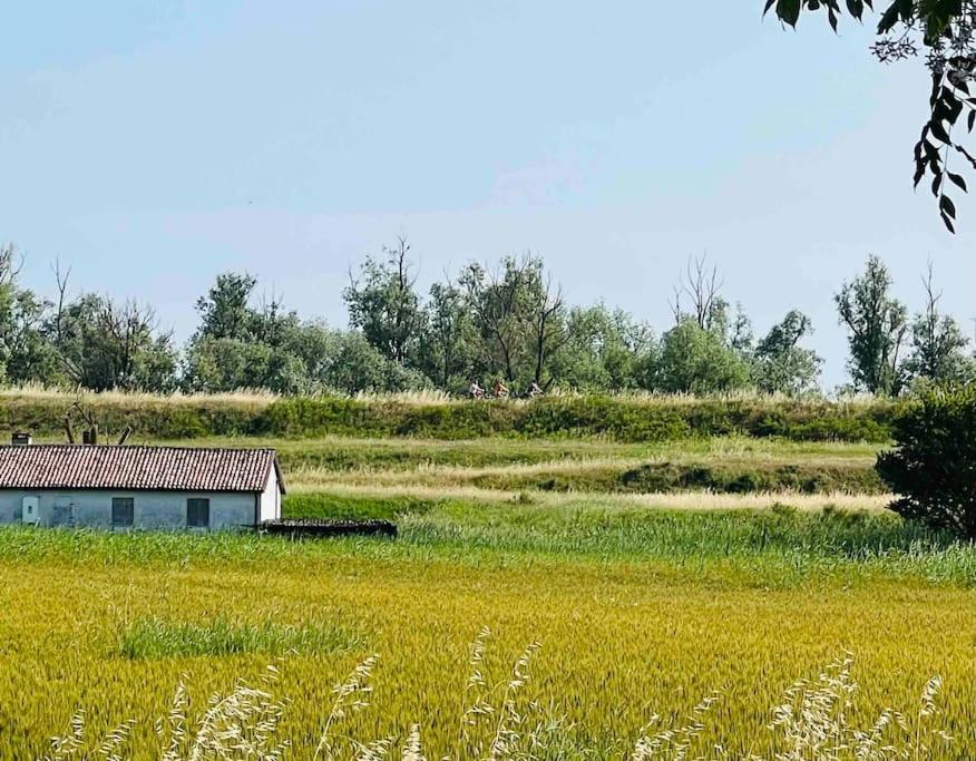 Casetta Rossa nel Parco del Delta del Po view 2
