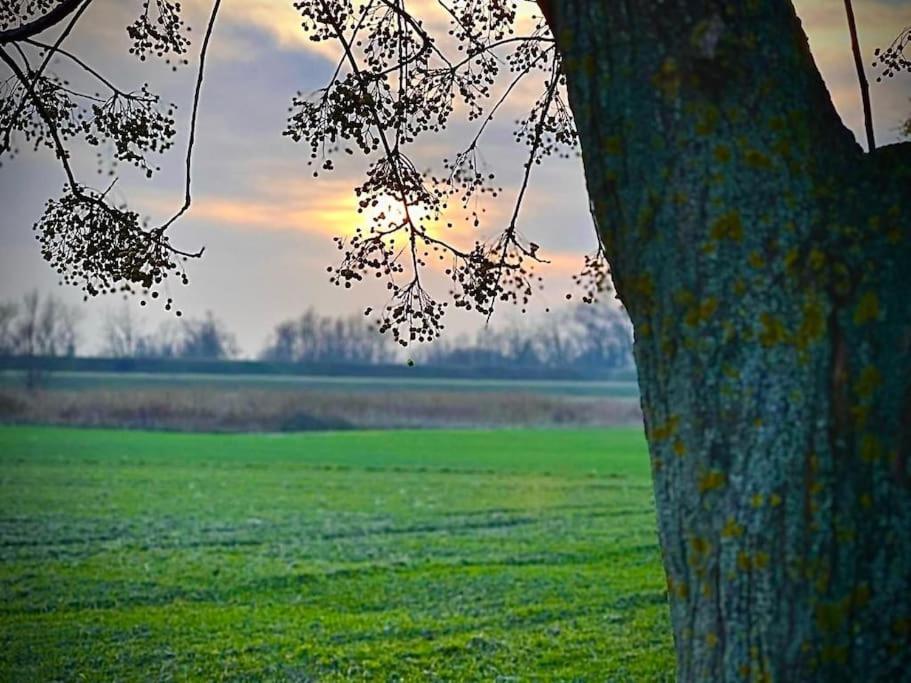 Casetta Rossa nel Parco del Delta del Po view 4