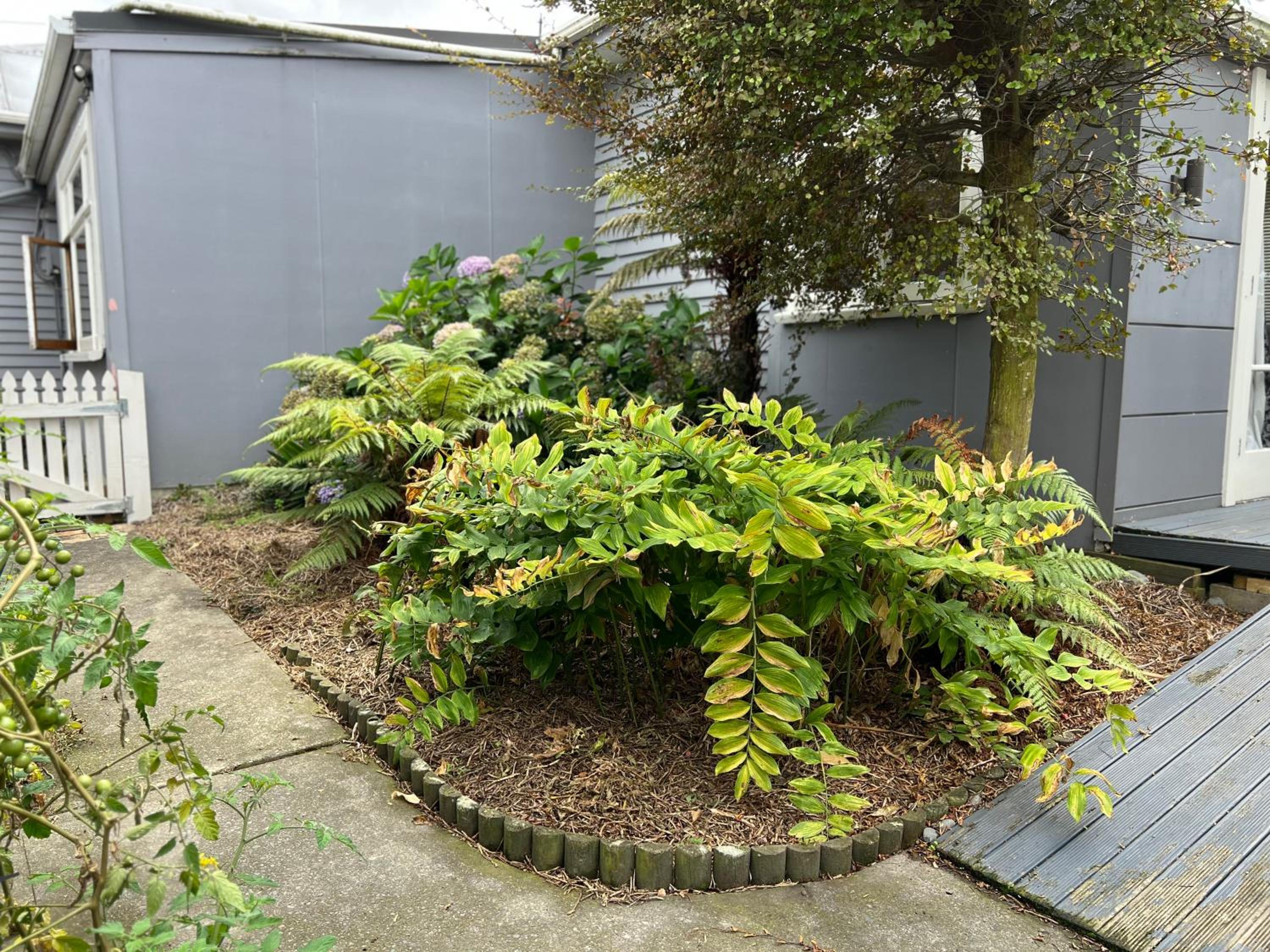 Photo 28