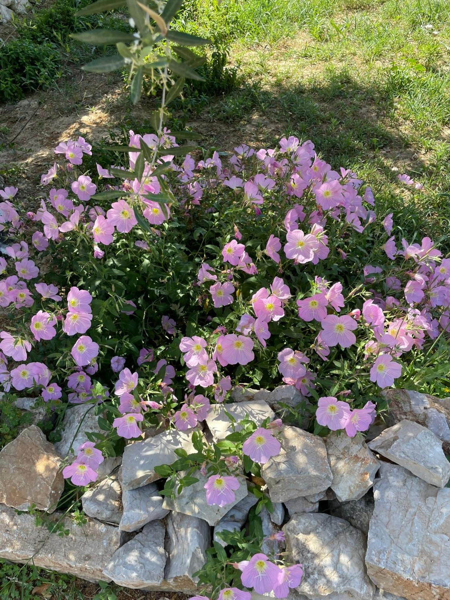 Photo 35