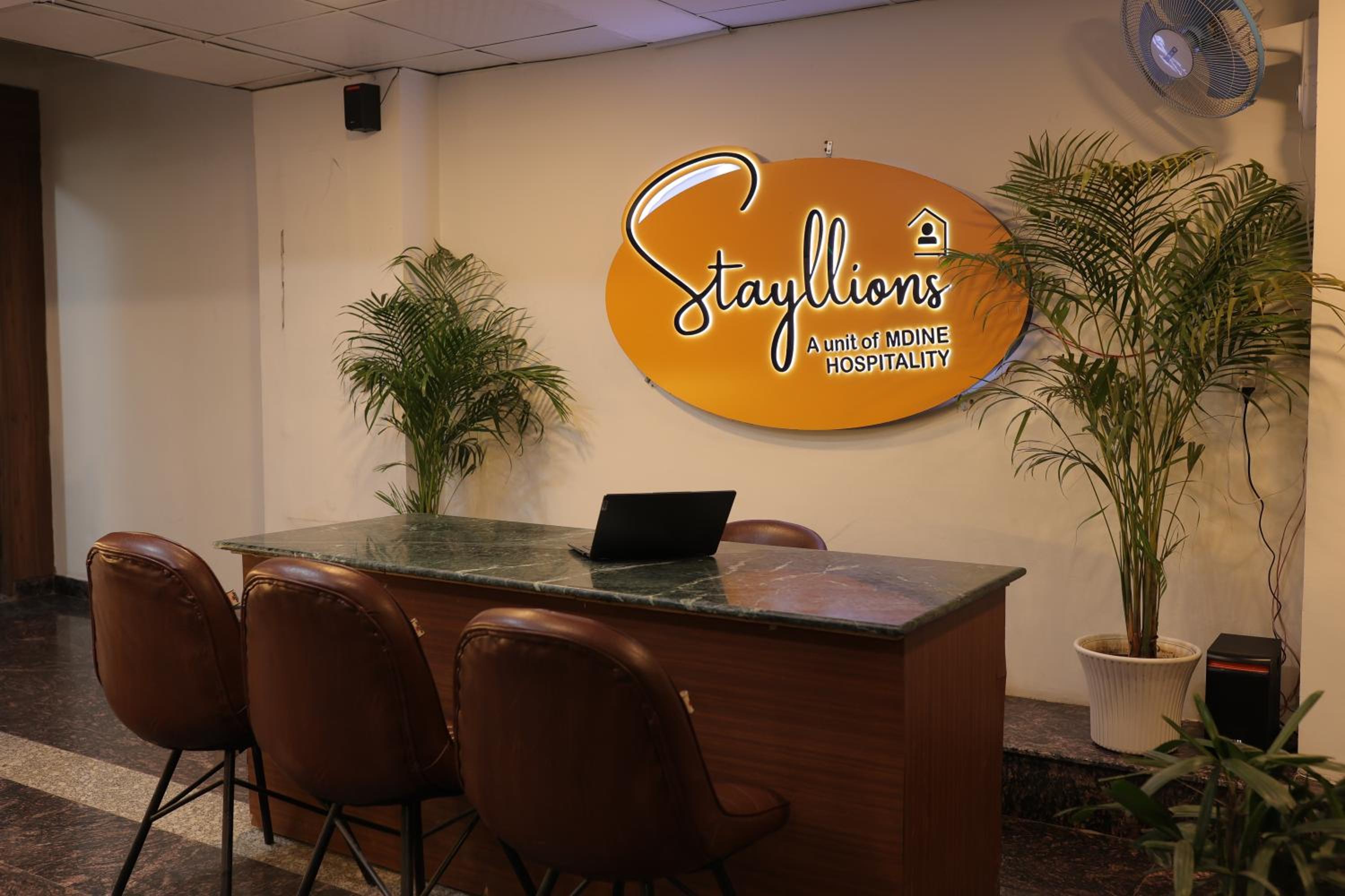 Stayllions