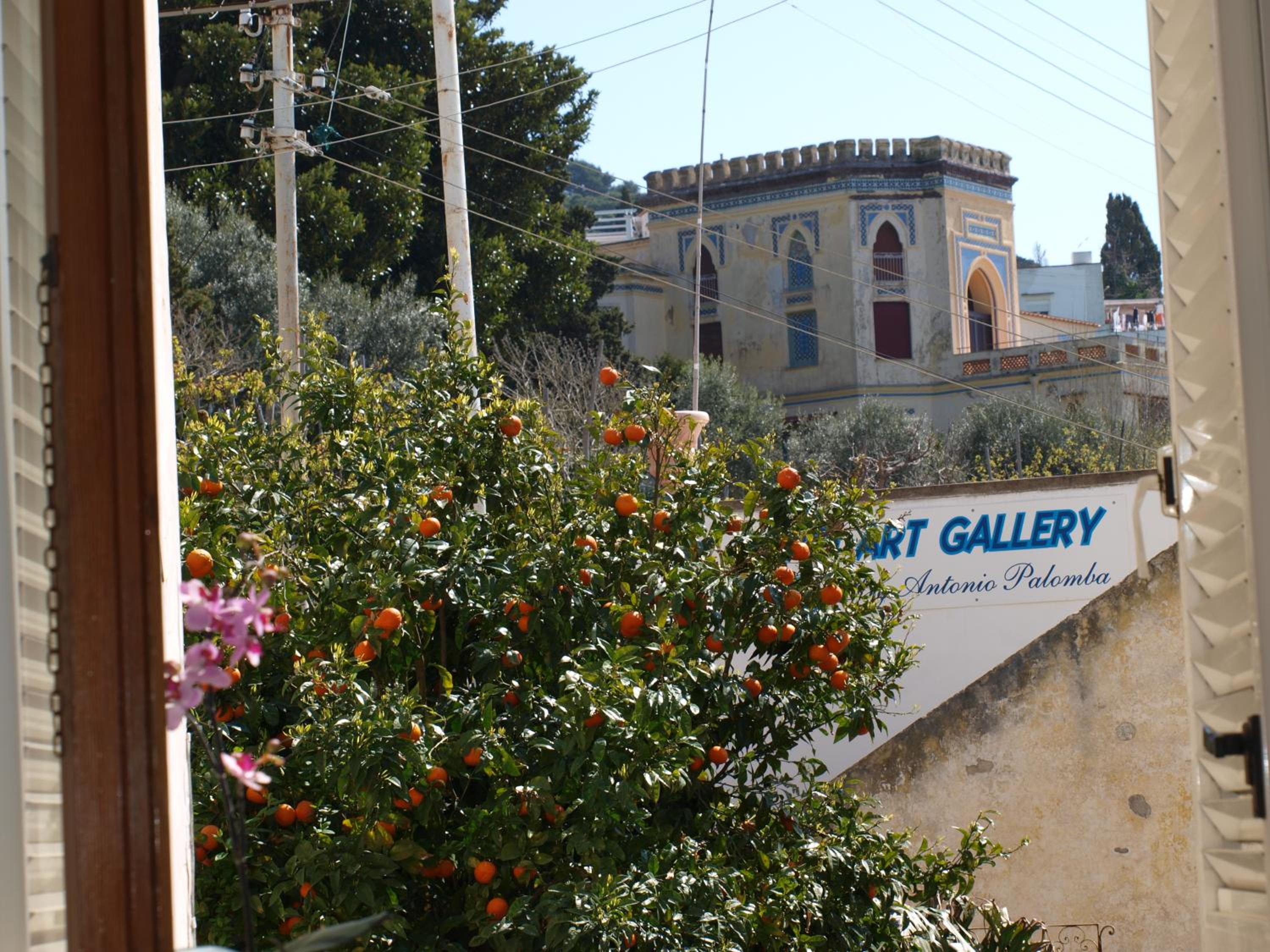 Villa Apollo B&B