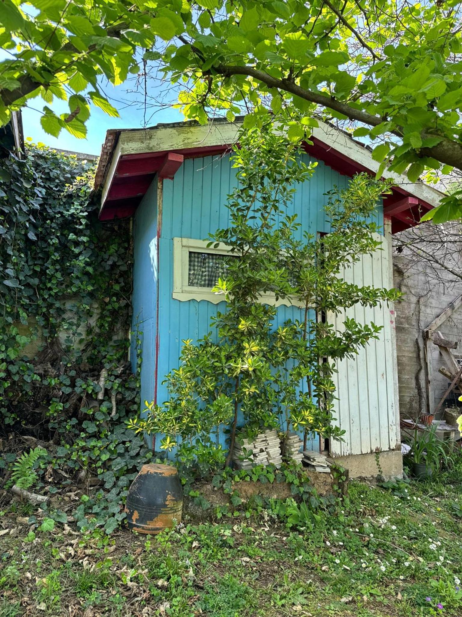 Photo 21
