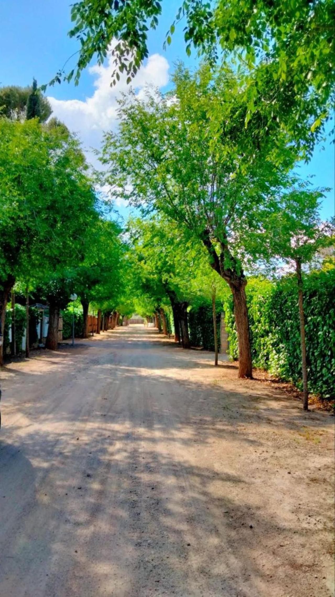 Las Arboledas alojamiento rural