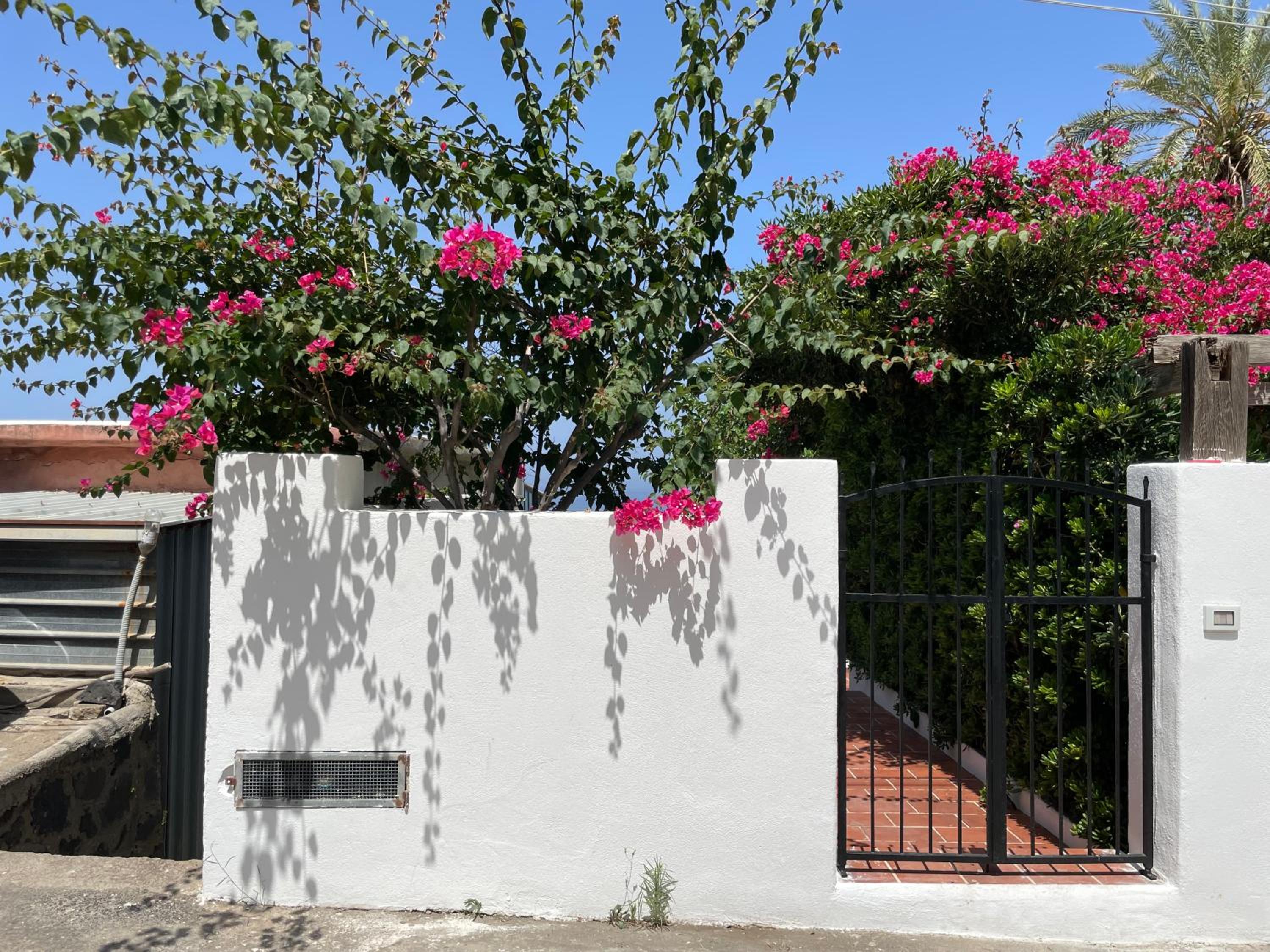 Casa Bouganville