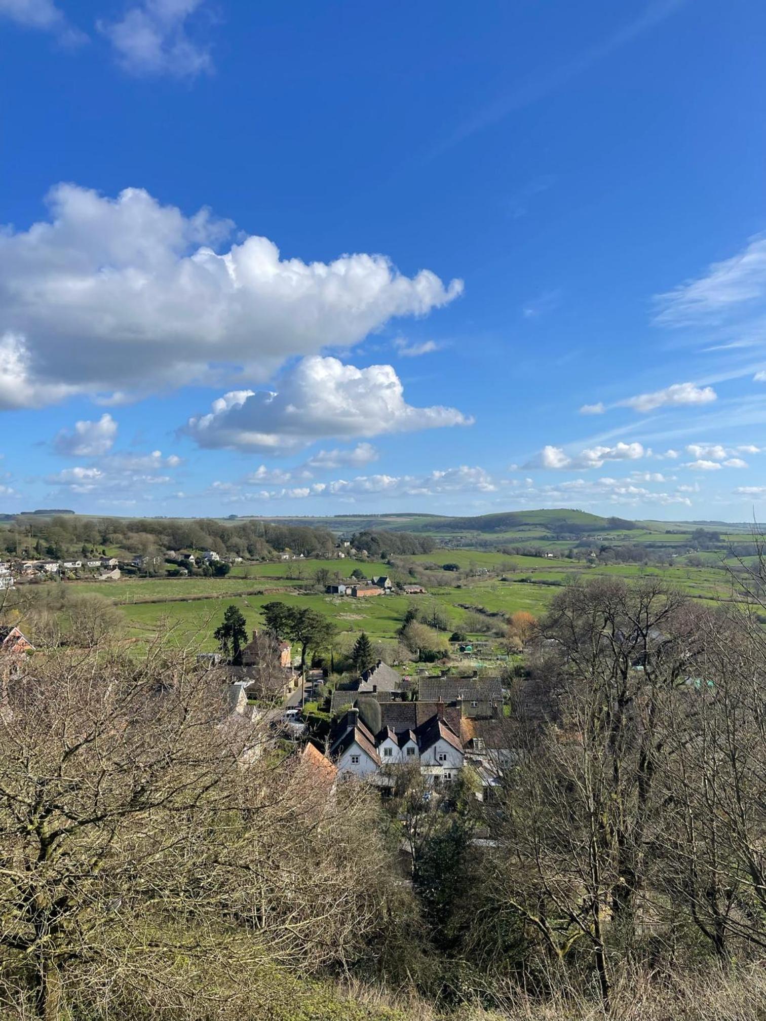 Beautiful cabins in Shaftesbury Dorset countryside