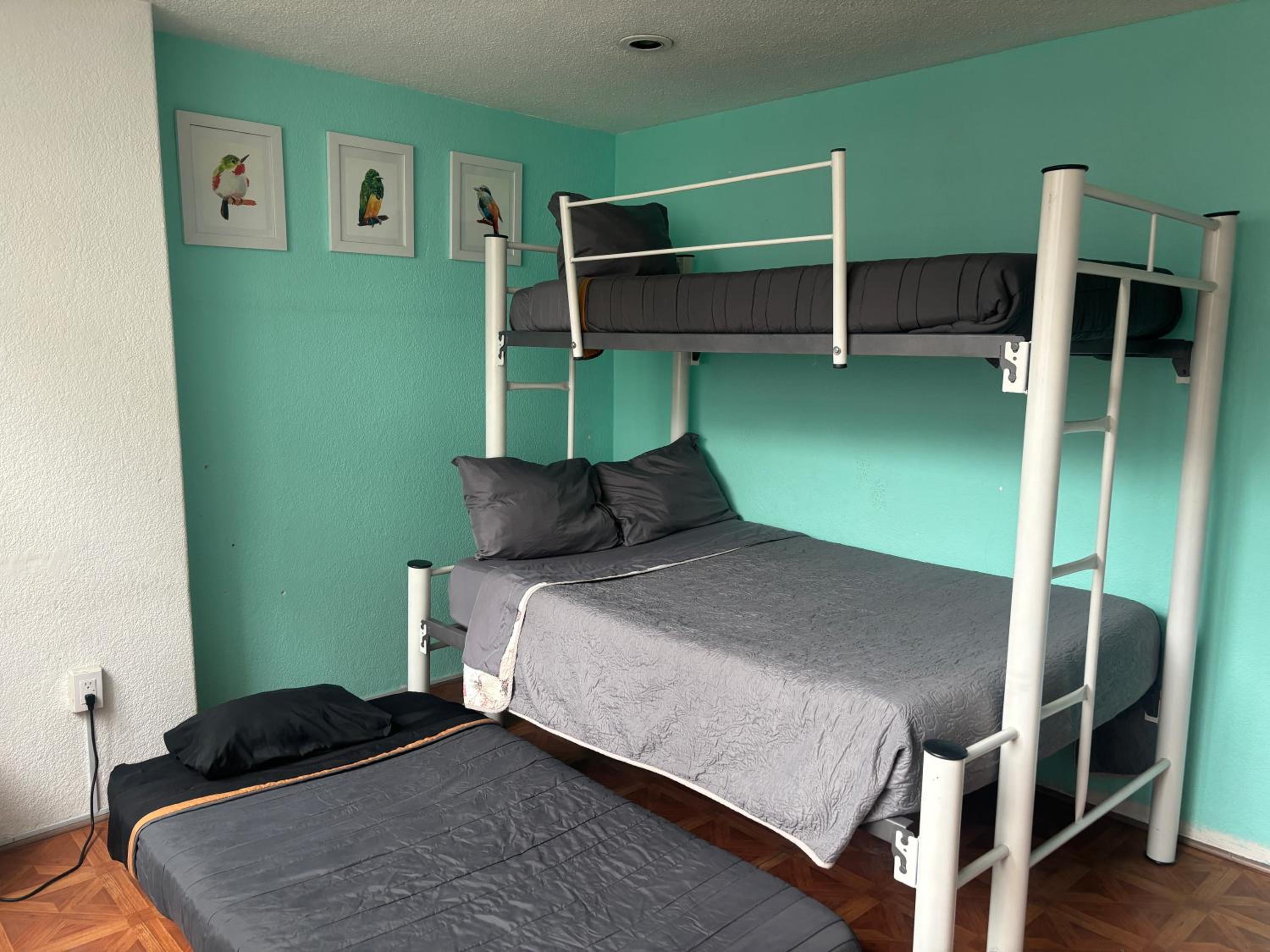 Photo 11