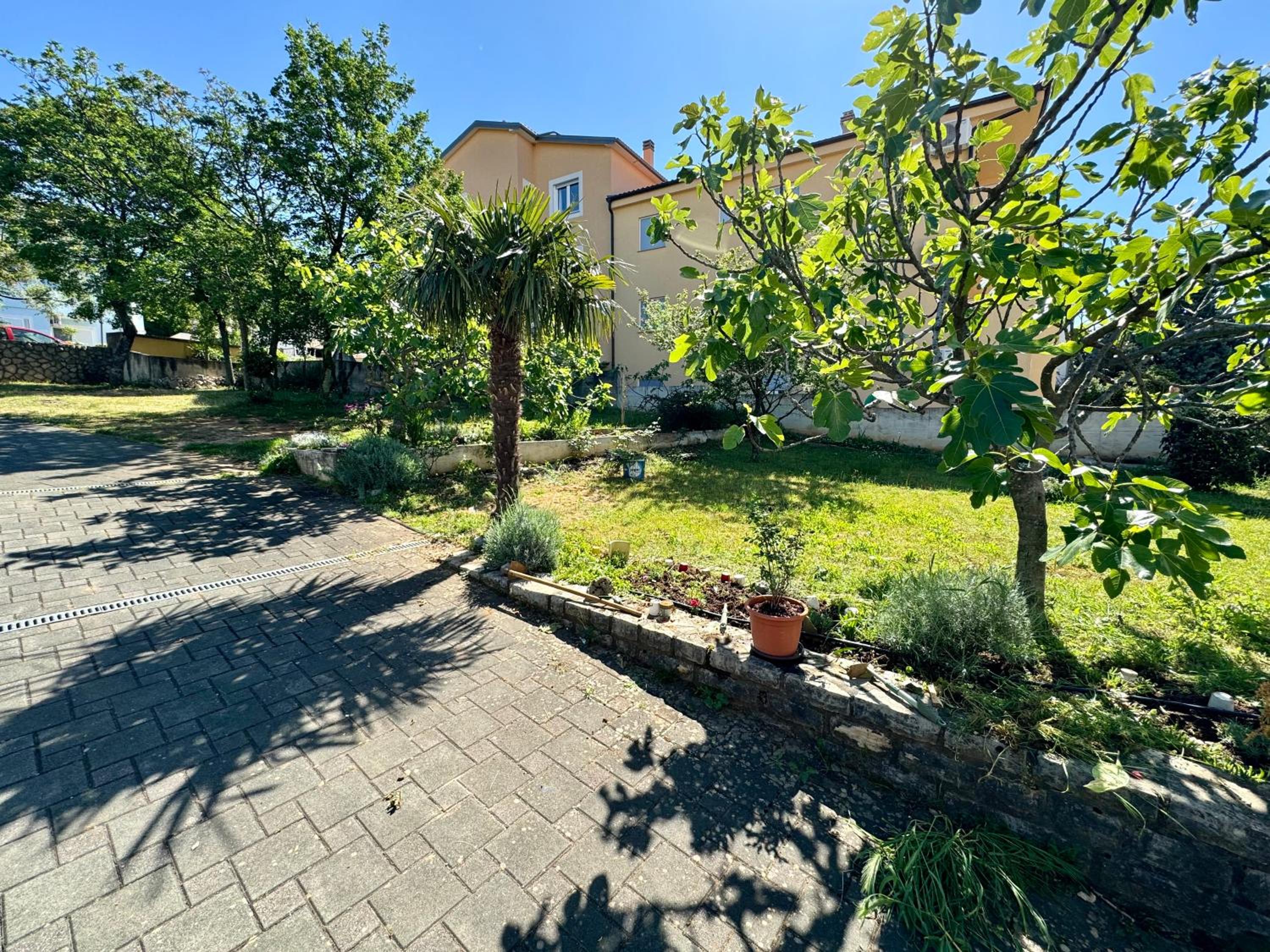 Apartment Fruky