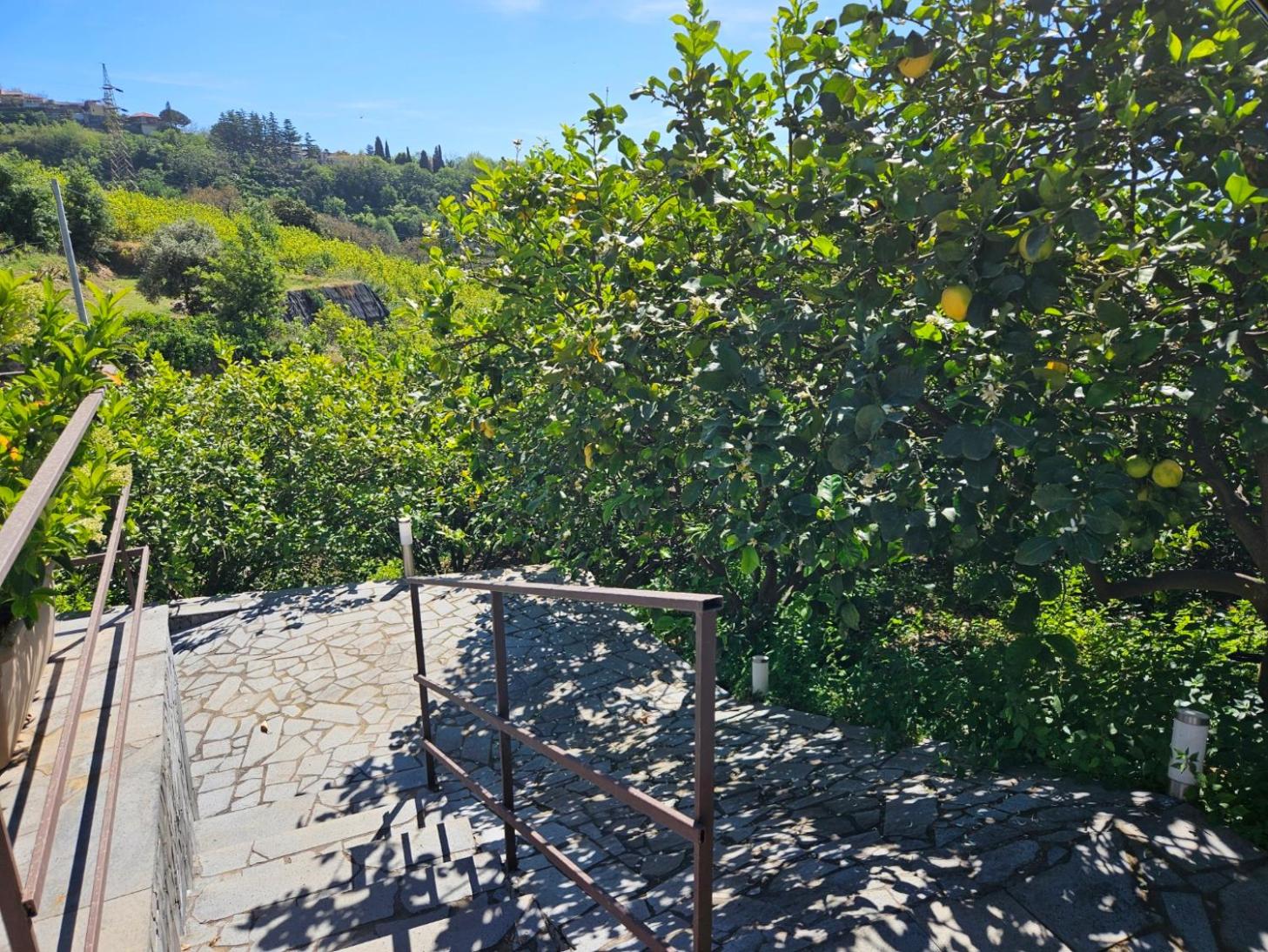 Etna Lemon House by Holiday World view 5