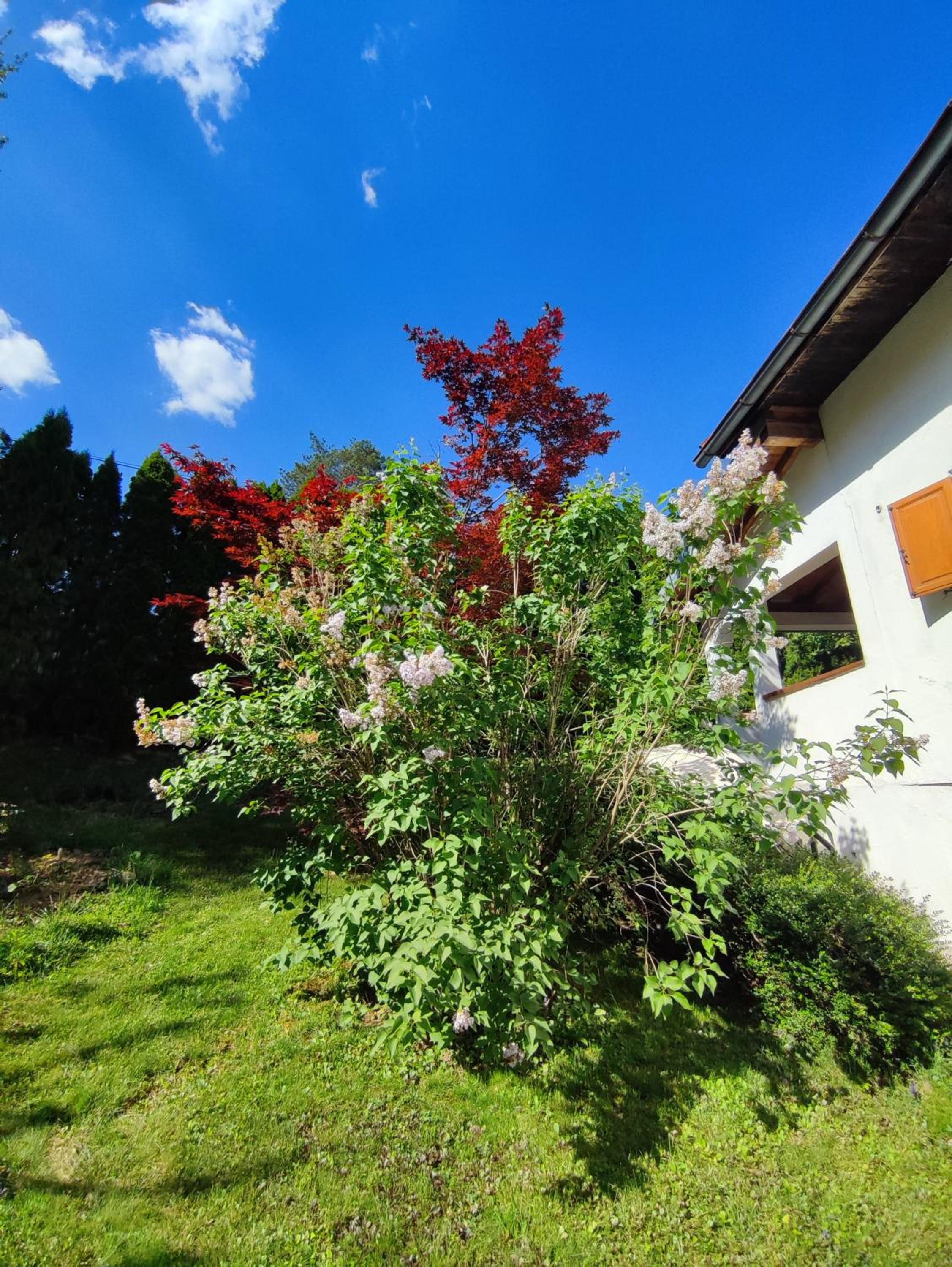 Garden House