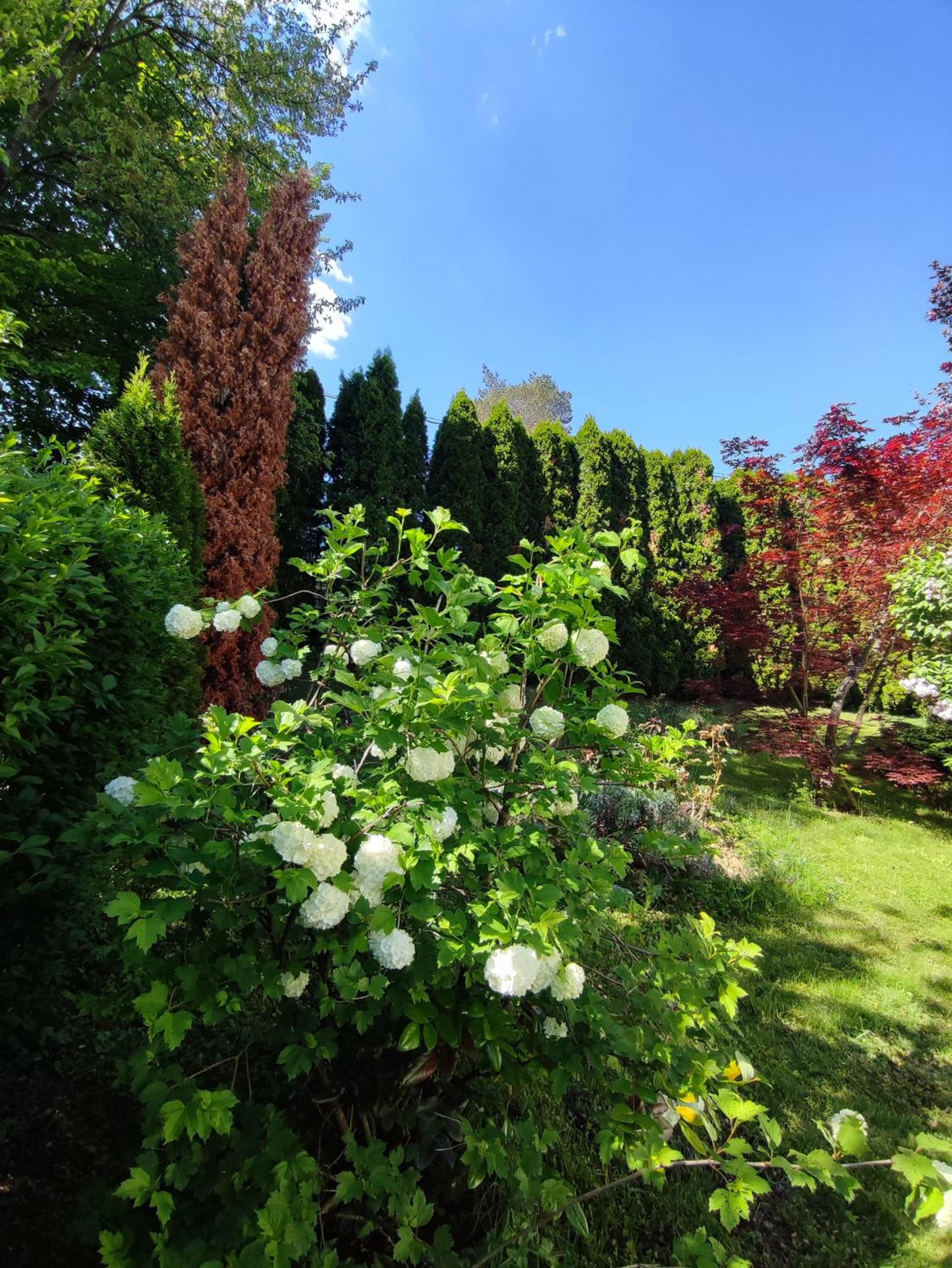 Garden House