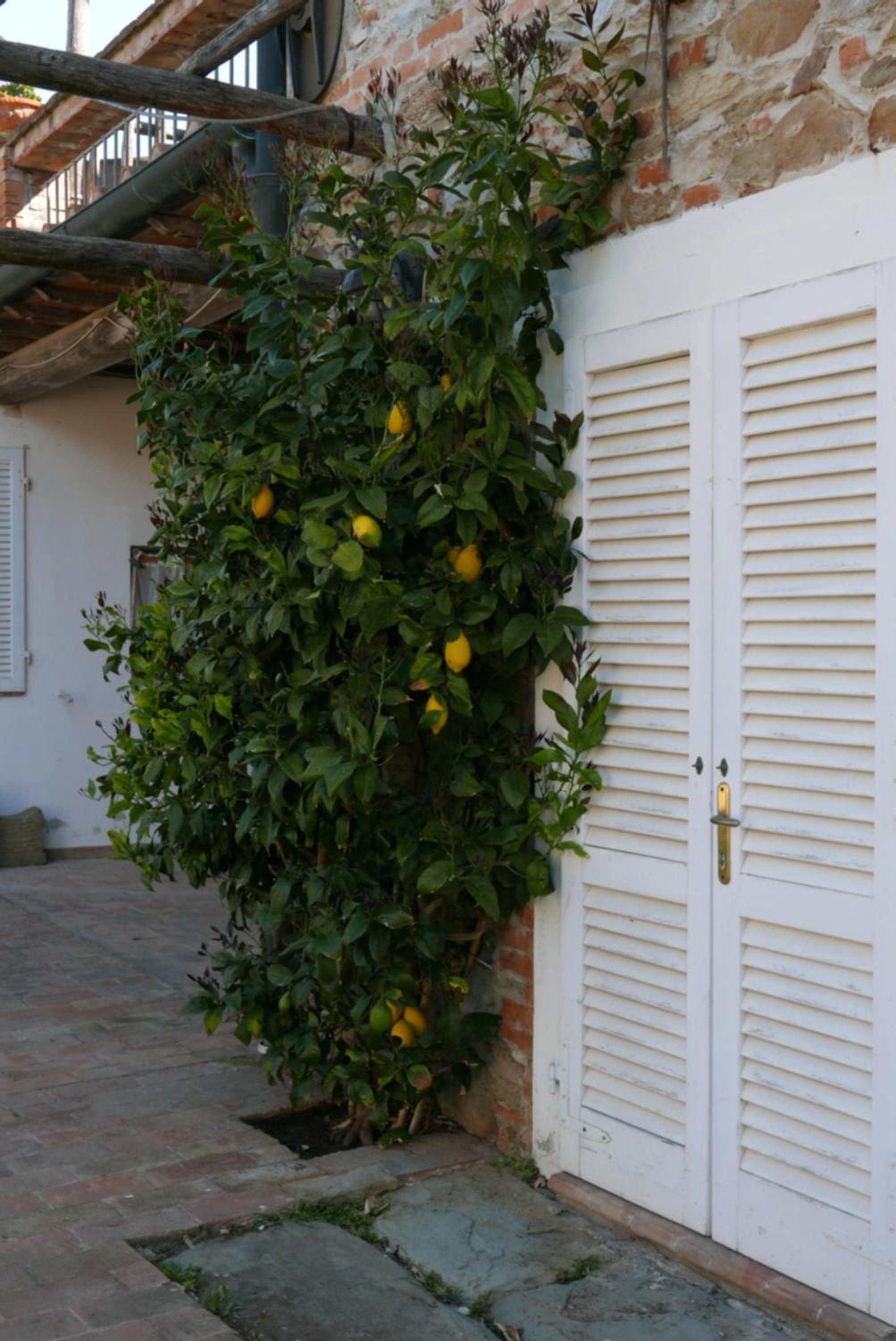 Agriturismo Baratti