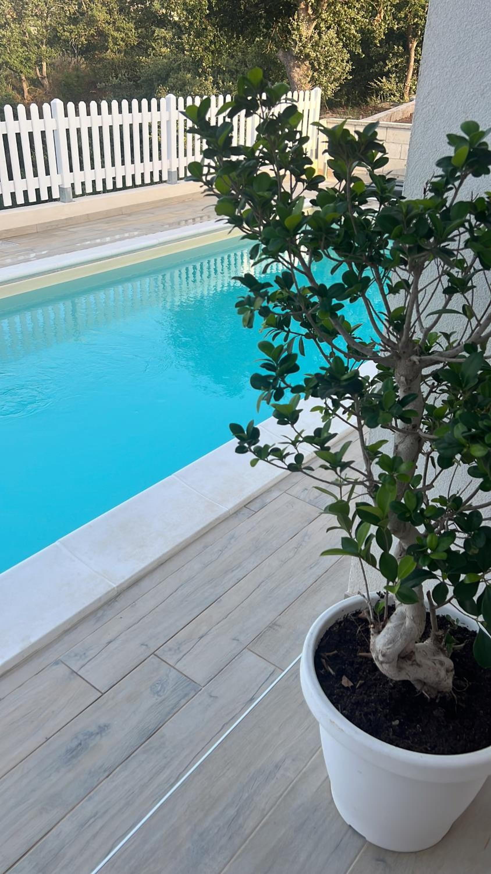 Villa Grazia view 3