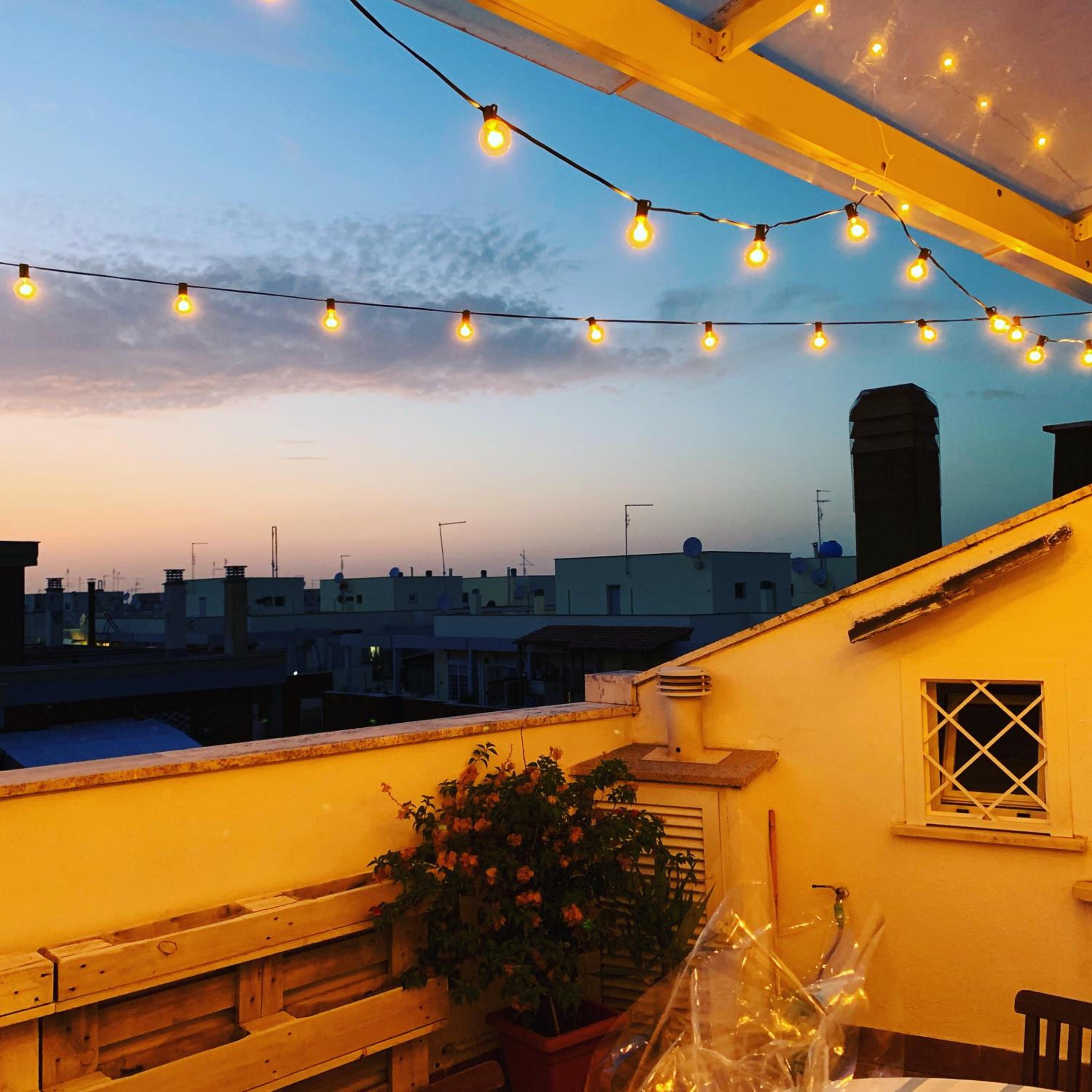 roof
