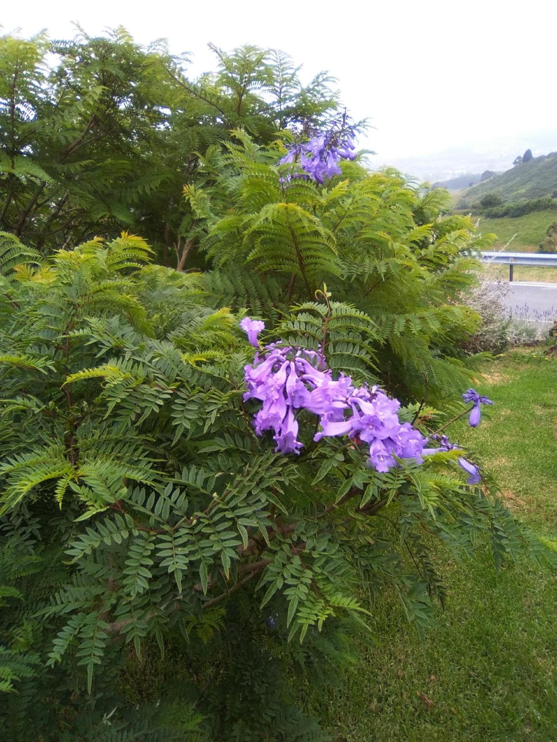 Photo 44