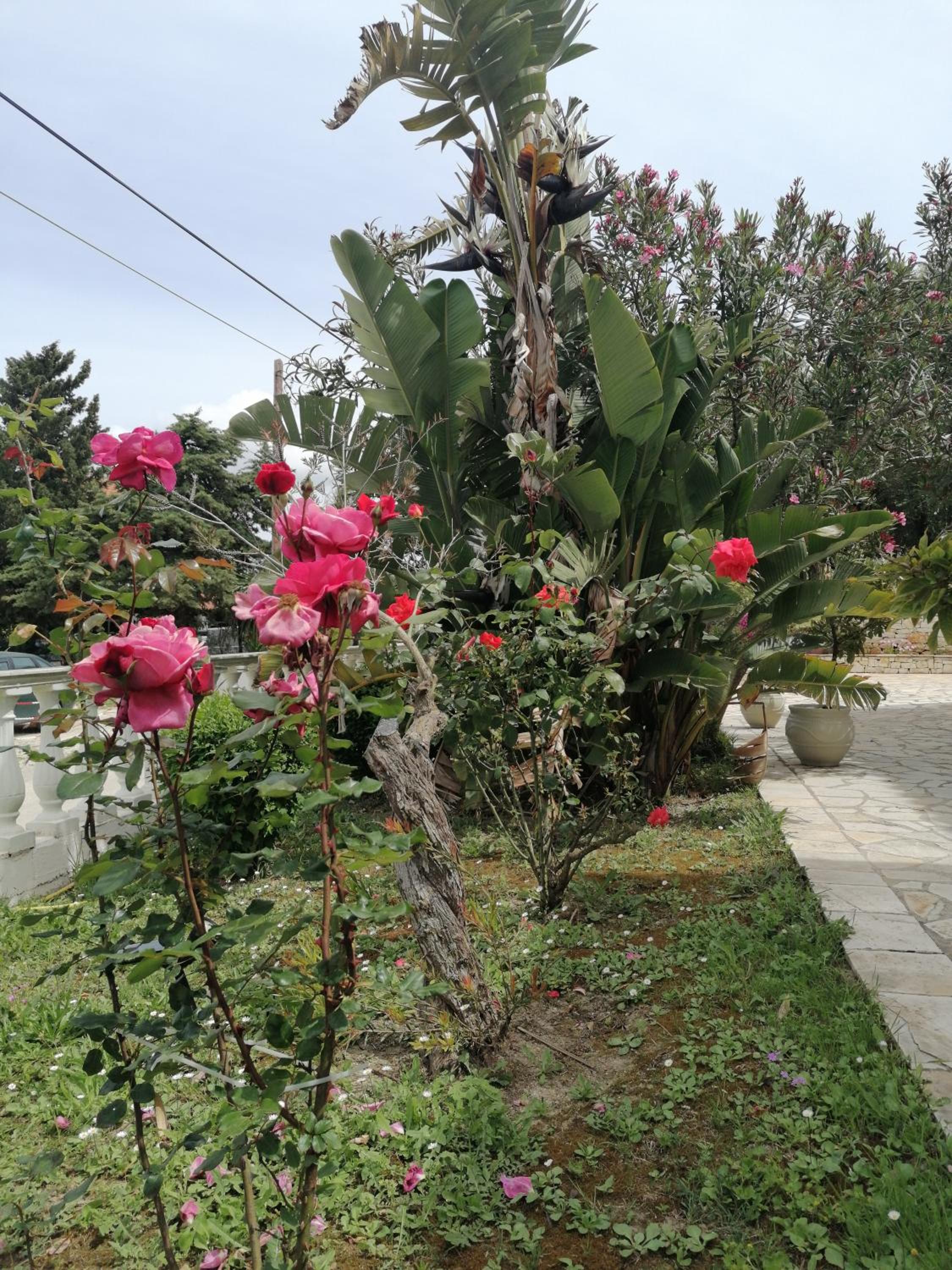 Makis Apartments