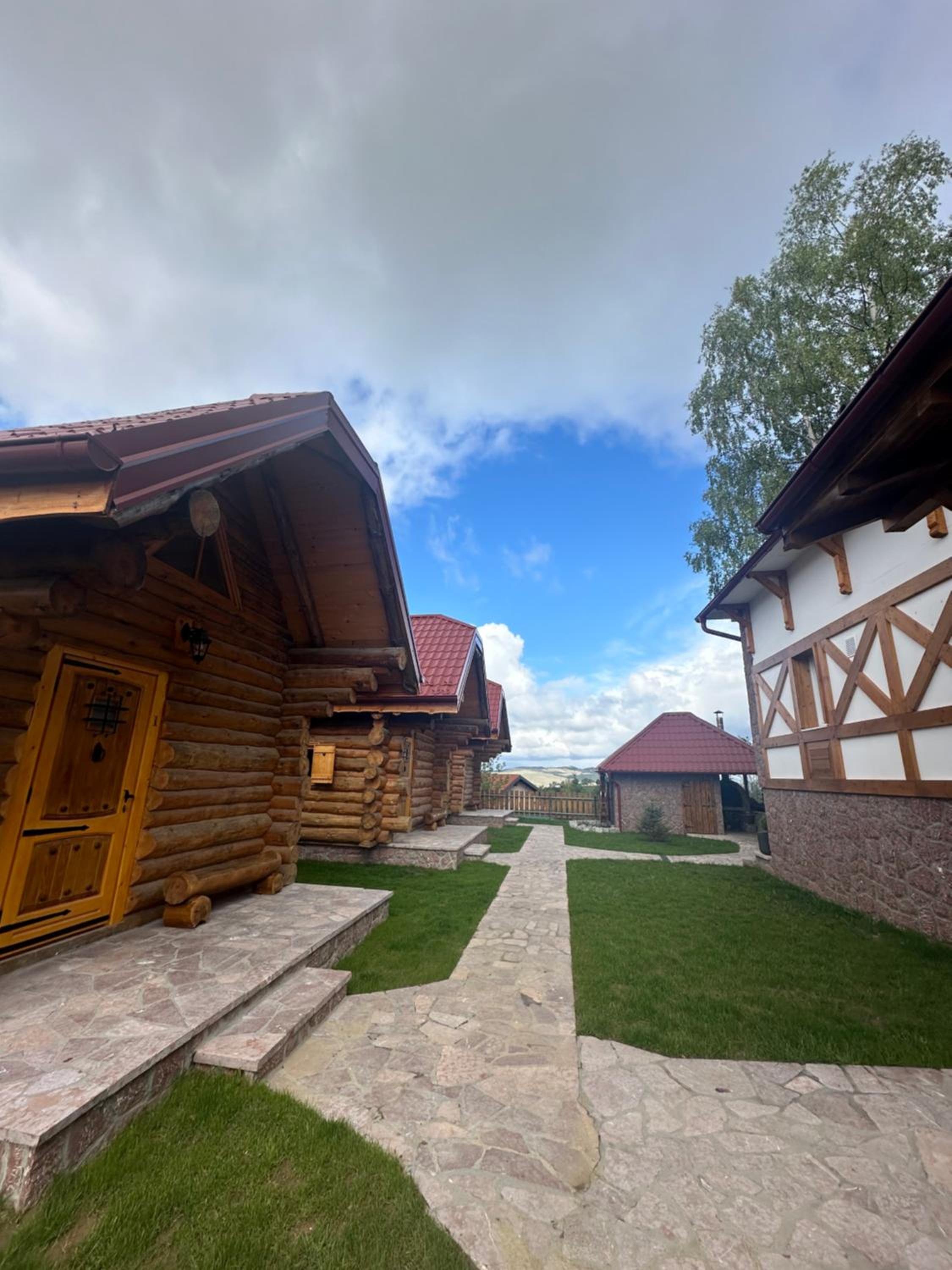 Zlatiborske Brvnare Savic view 3