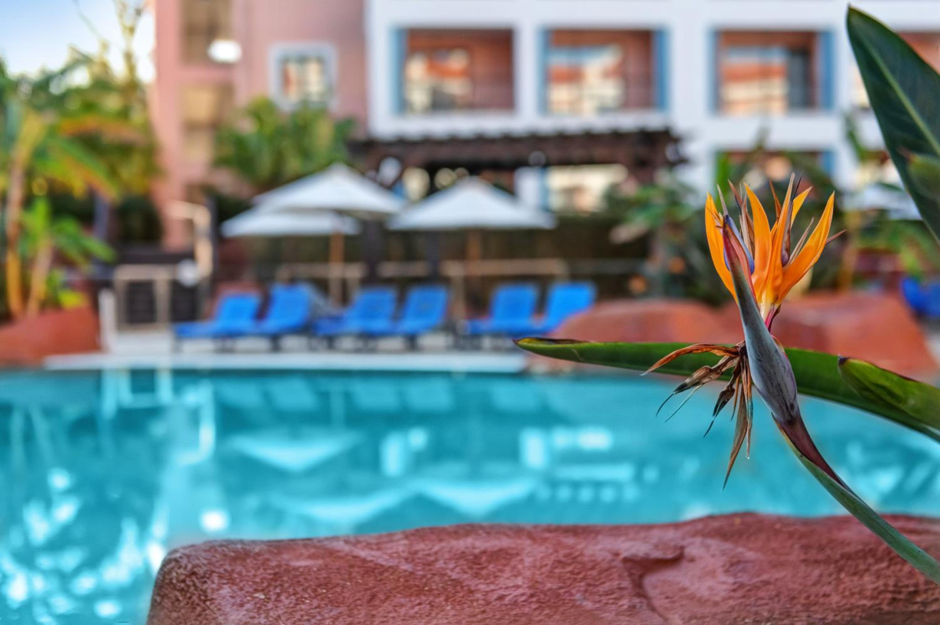 Hilton Vilamoura, photo 147