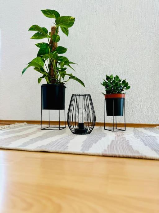 Apartman Latice
