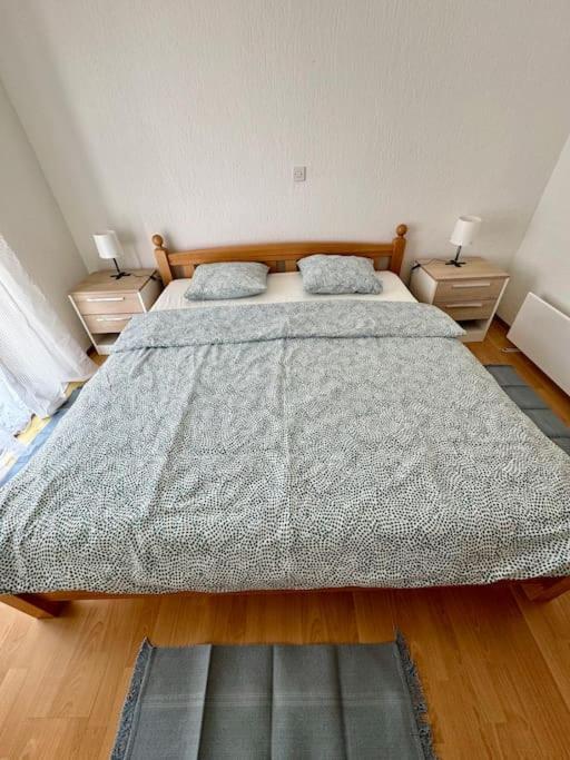 Apartman Latice