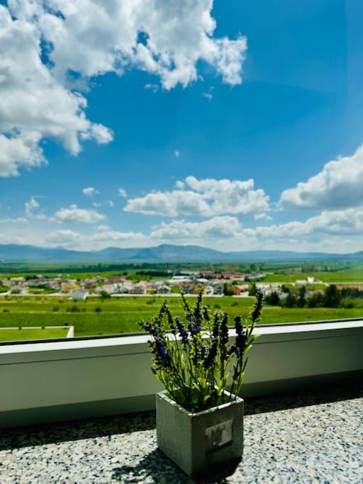 Apartman Latice