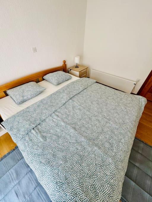 Apartman Latice