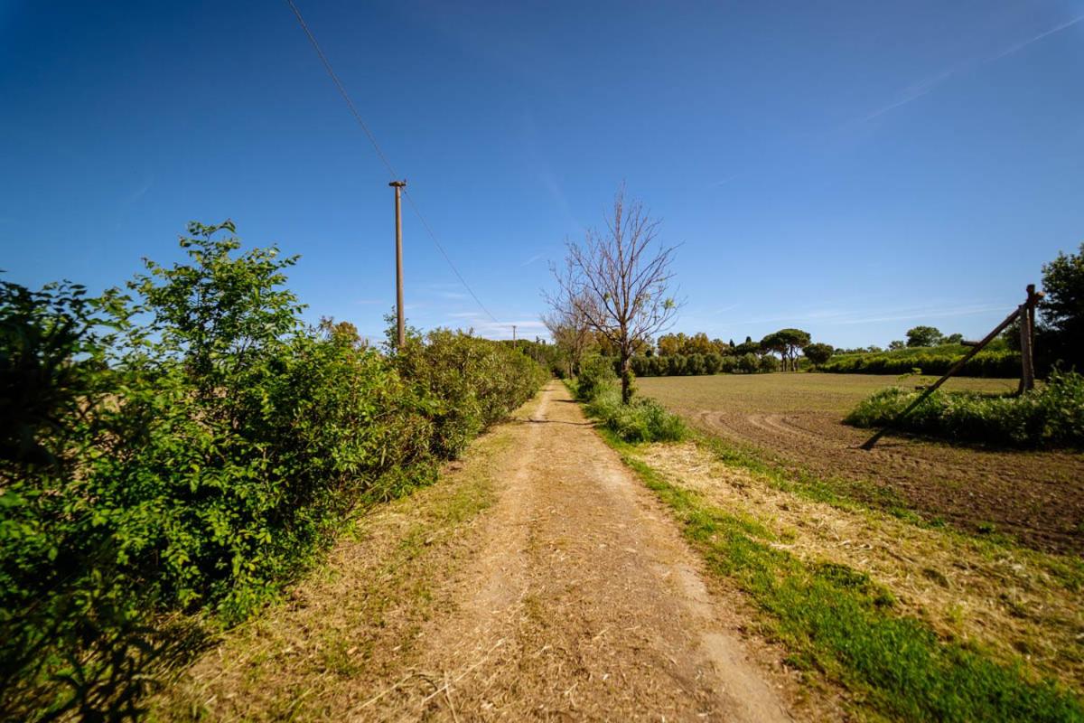 Agriturismo Bio San Mamiliano