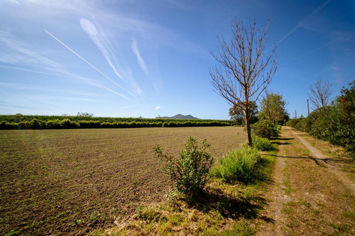 Agriturismo Bio San Mamiliano