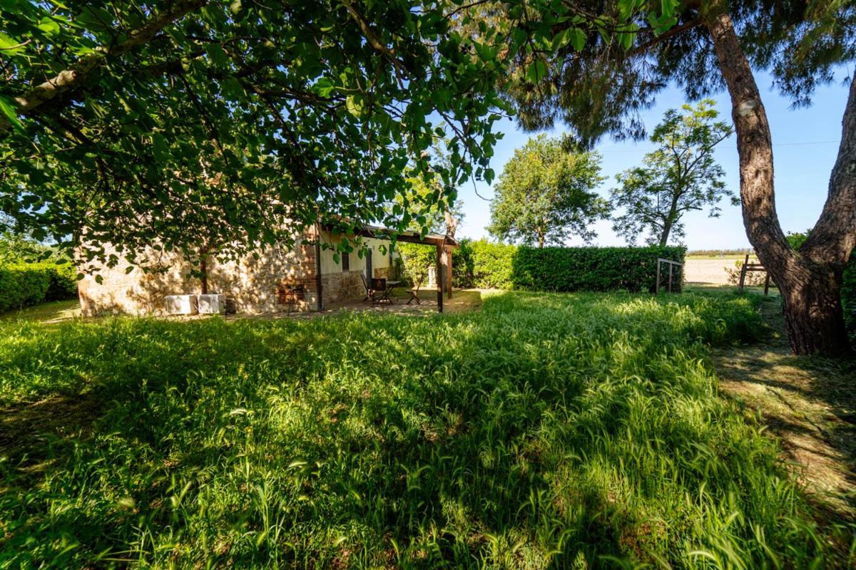 Agriturismo Bio San Mamiliano