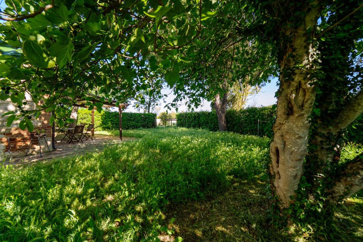 Agriturismo Bio San Mamiliano