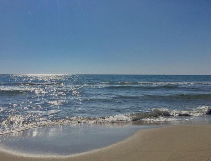 La Zattera appartamento vicino al mare photo 2