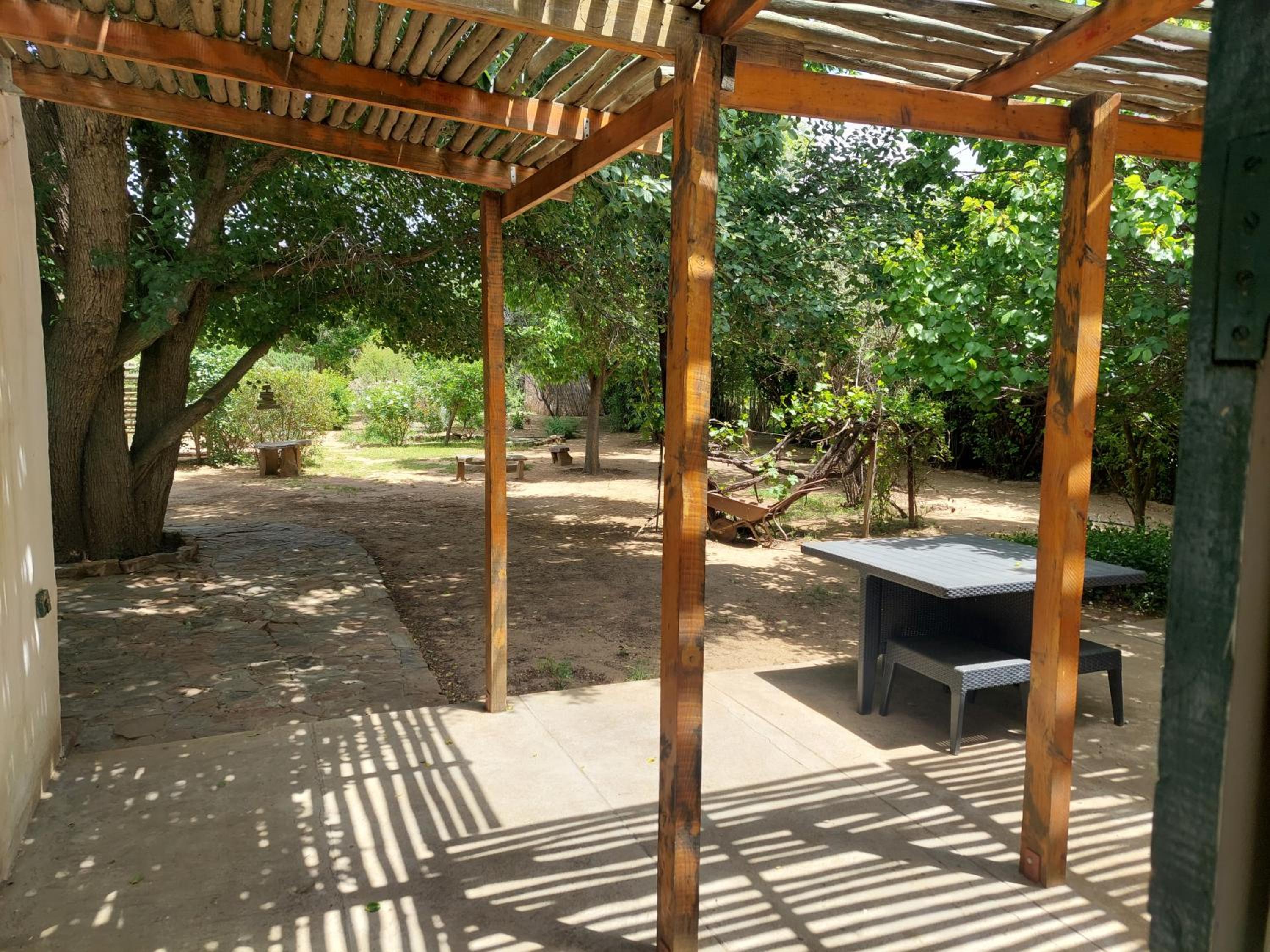 Oasis