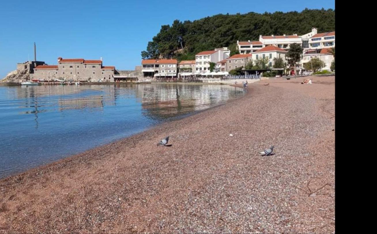 Ljiljana