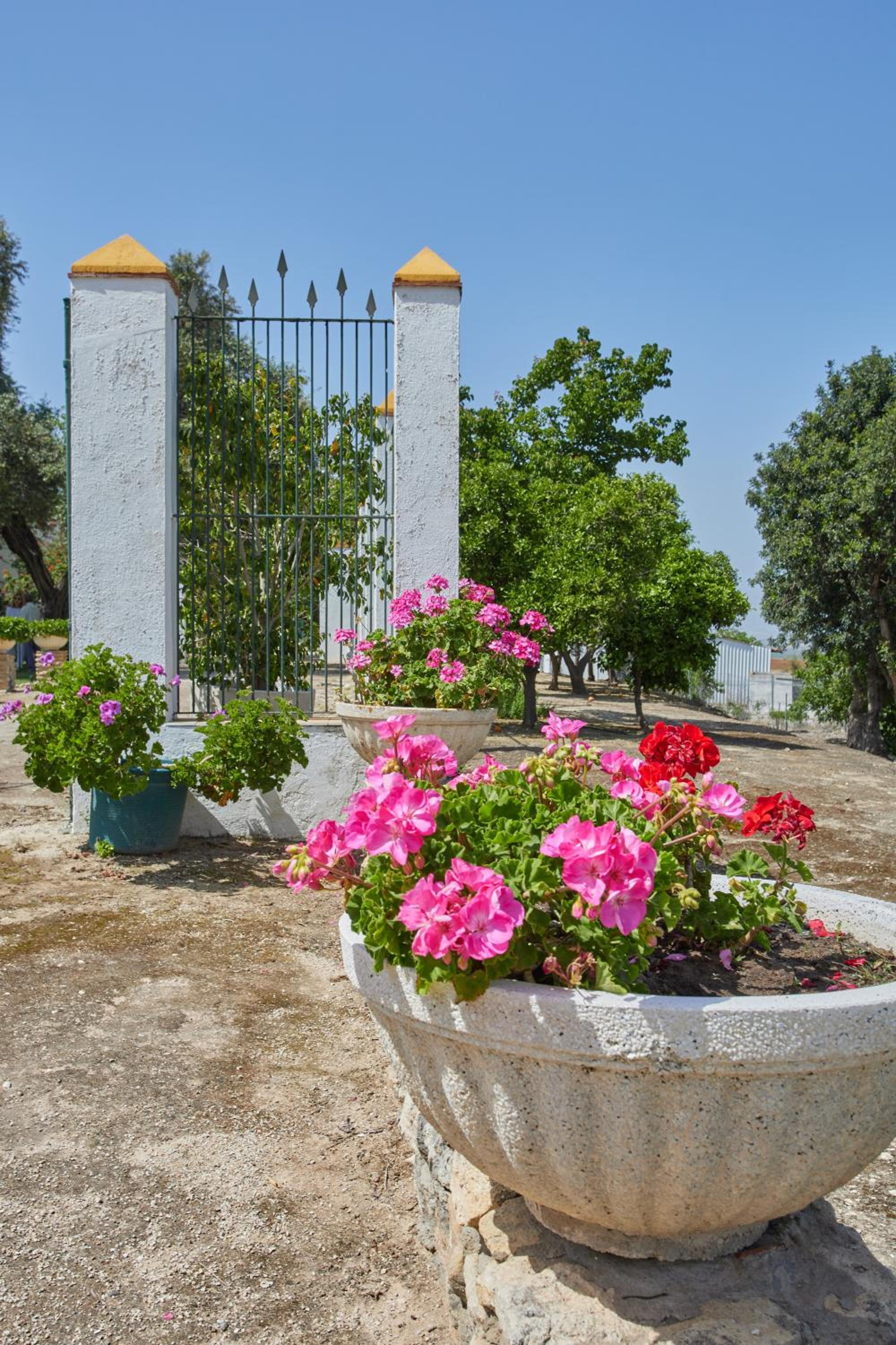 Finca La Fuensanta