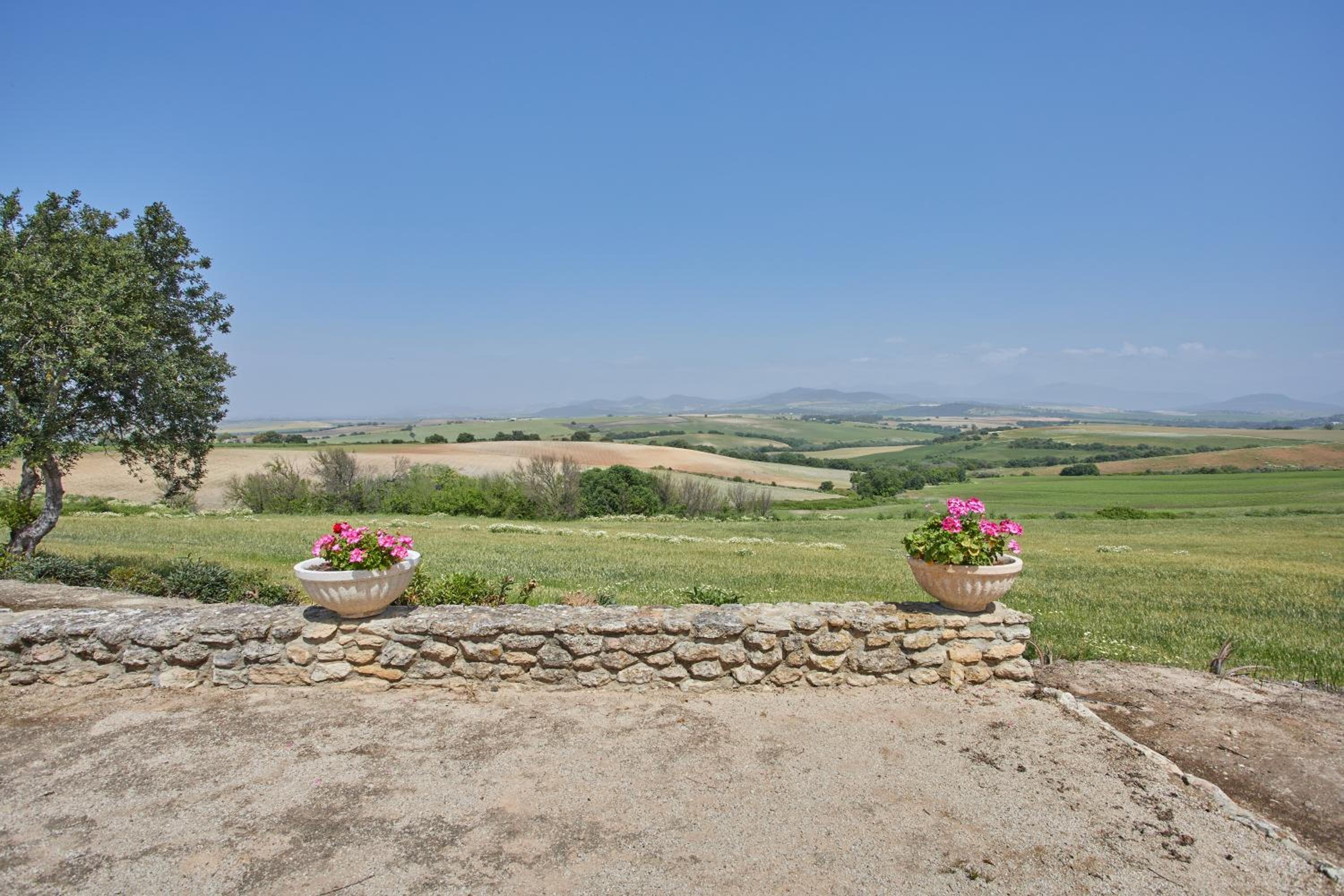 Finca La Fuensanta
