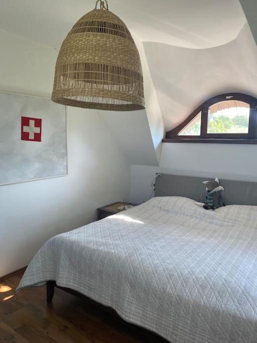 Nyuszifülház Ferienhaus im Weinberg mit Pool