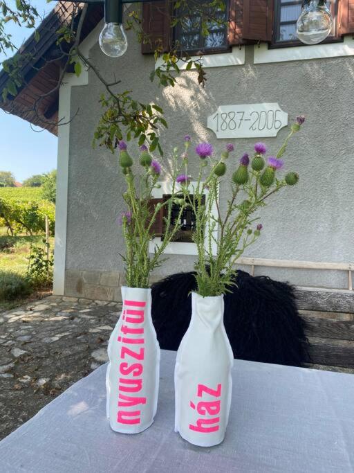 Nyuszifülház Ferienhaus im Weinberg mit Pool