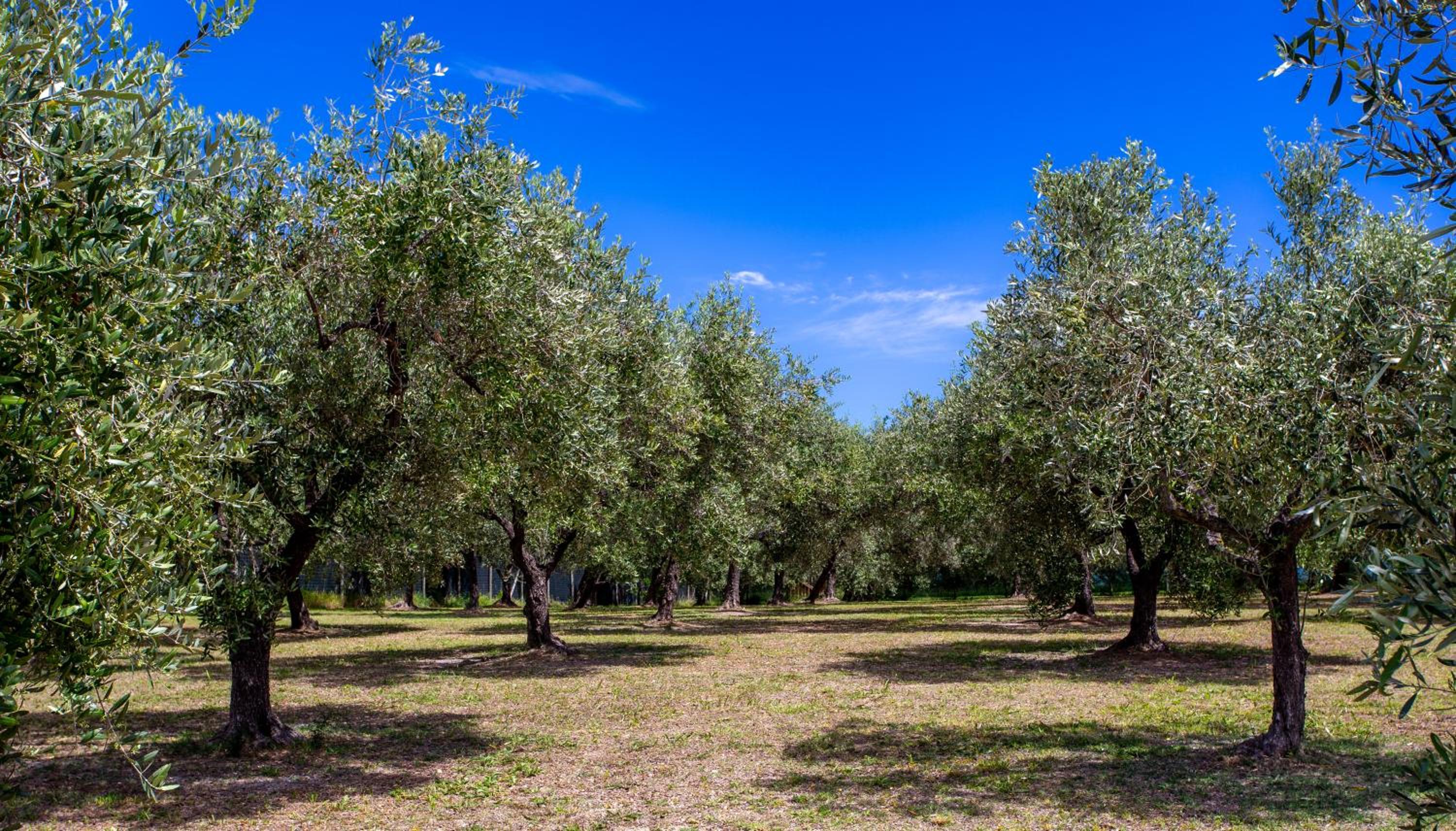 Casa Vacanze Punta Ferruccio