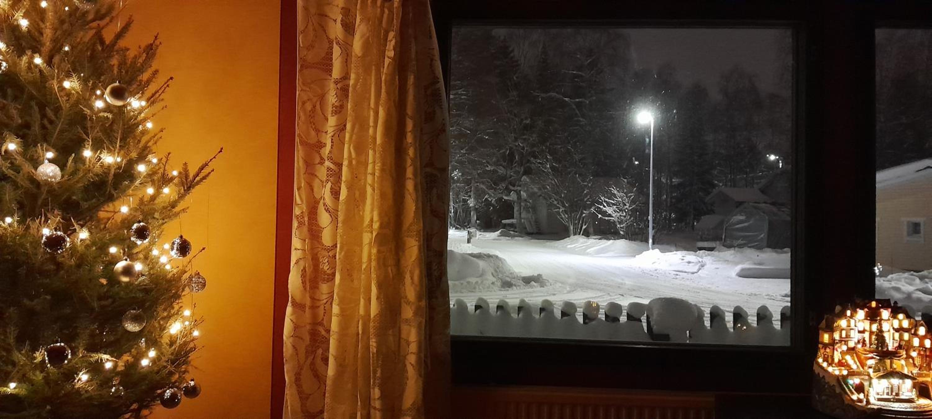 Traditional House Rovaniemi