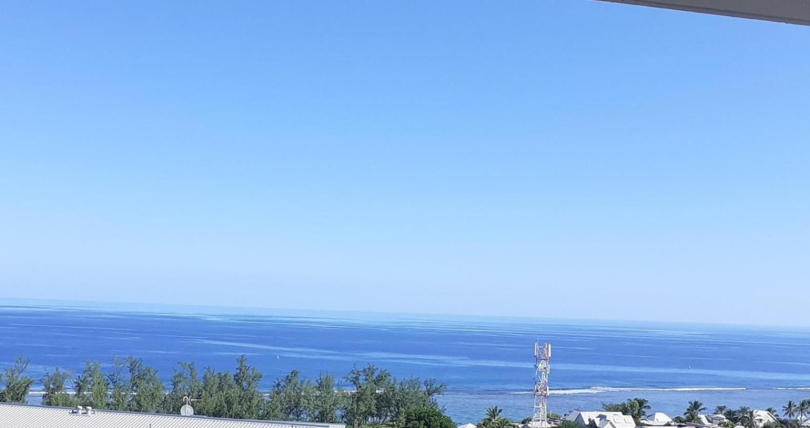 nocea
