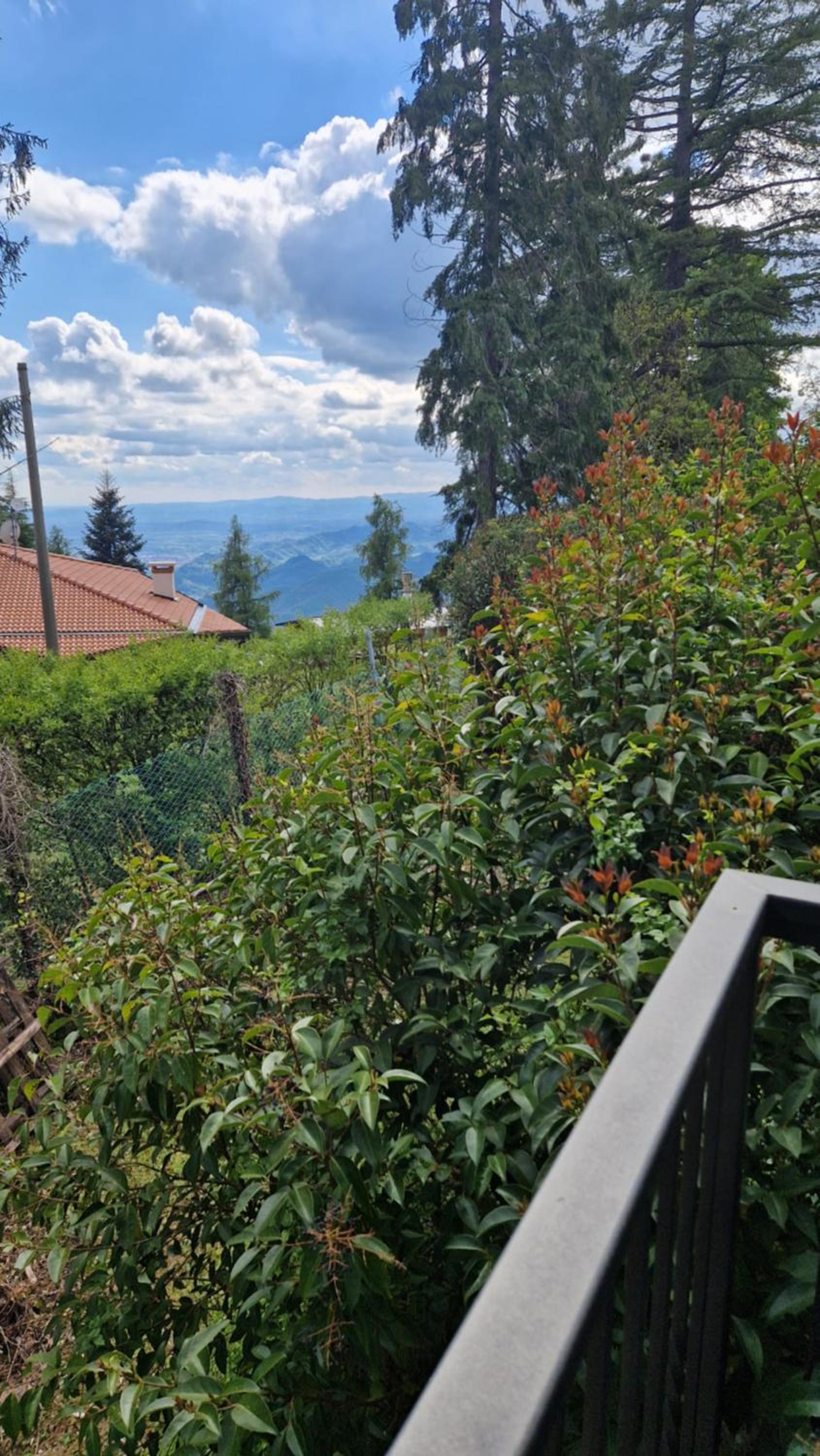 LE BETULLE B&B photo 5