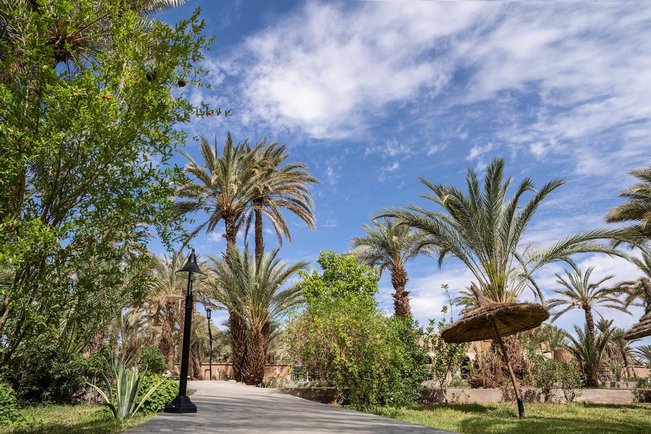 Lodge Hara Oasis
