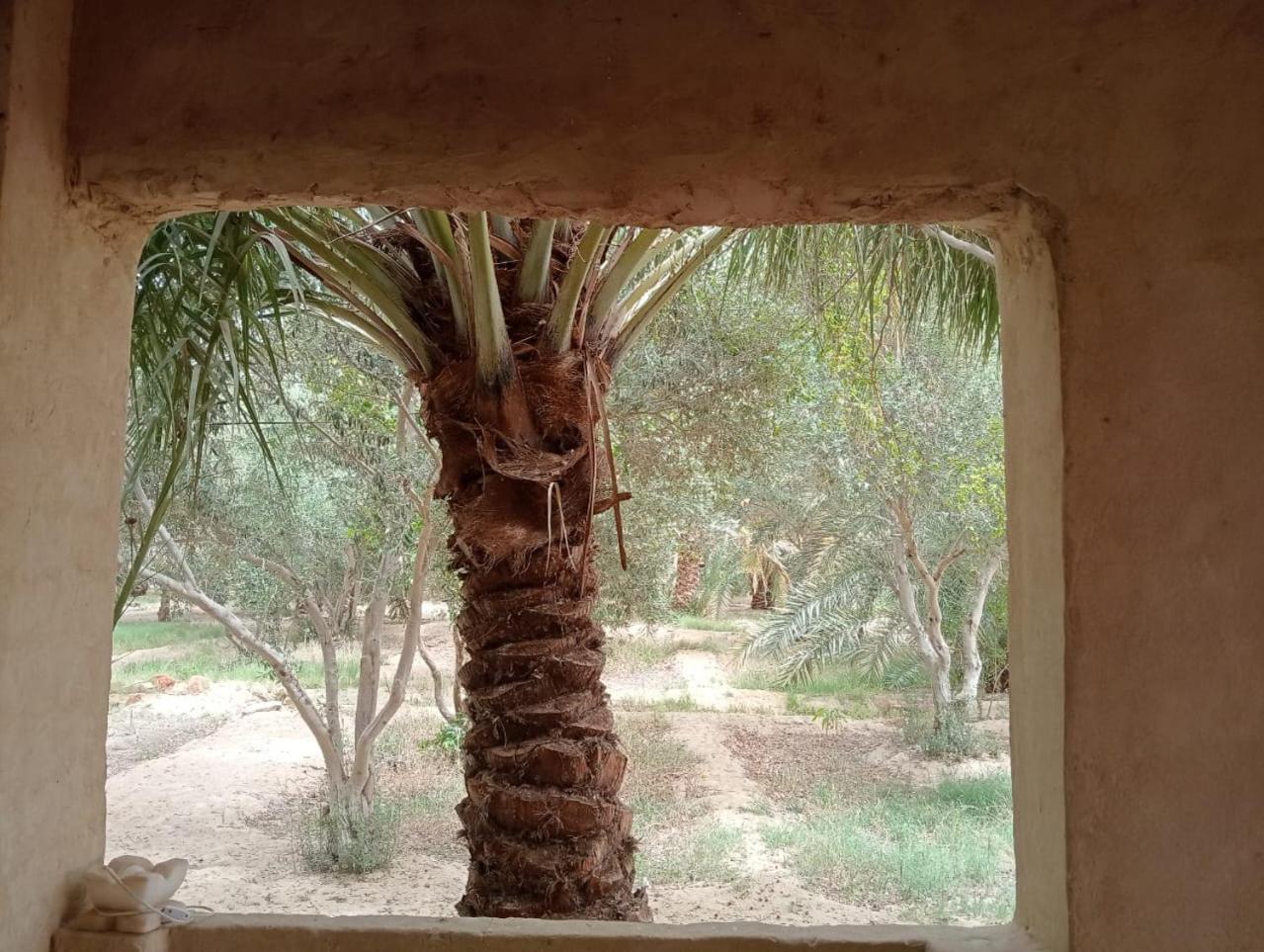 Paradise Gates Siwa