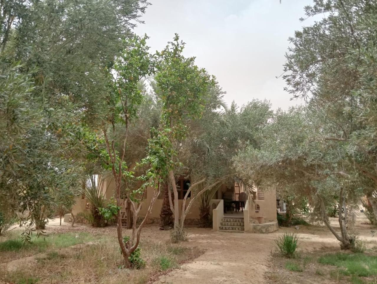 Paradise Gates Siwa