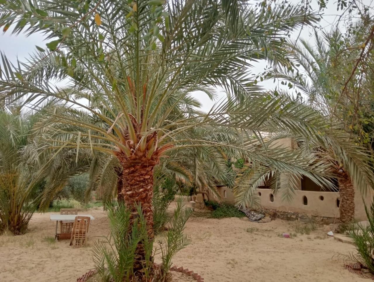 Paradise Gates Siwa