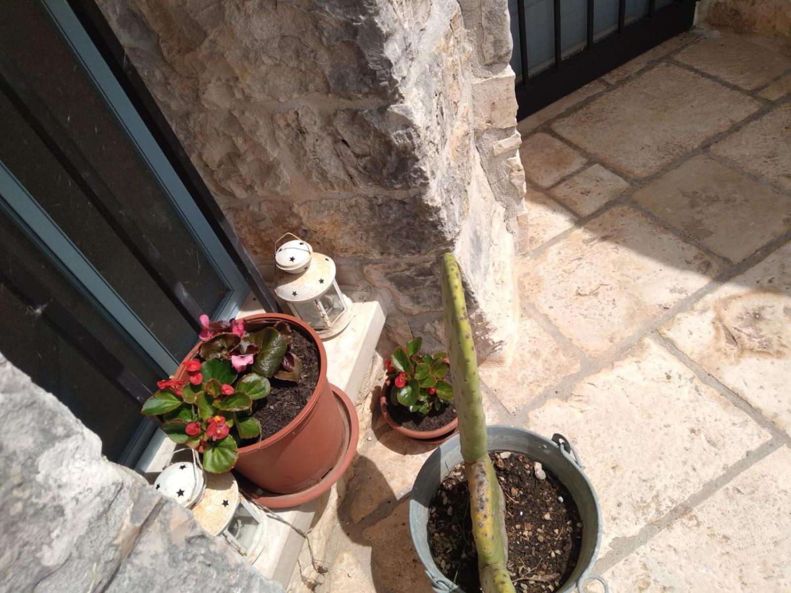 Photo 52