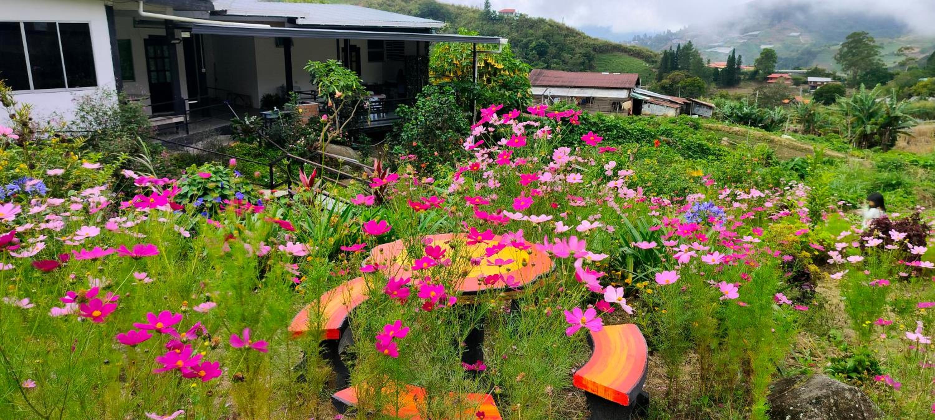 KOMOWANAN HOMESTAY photo 5