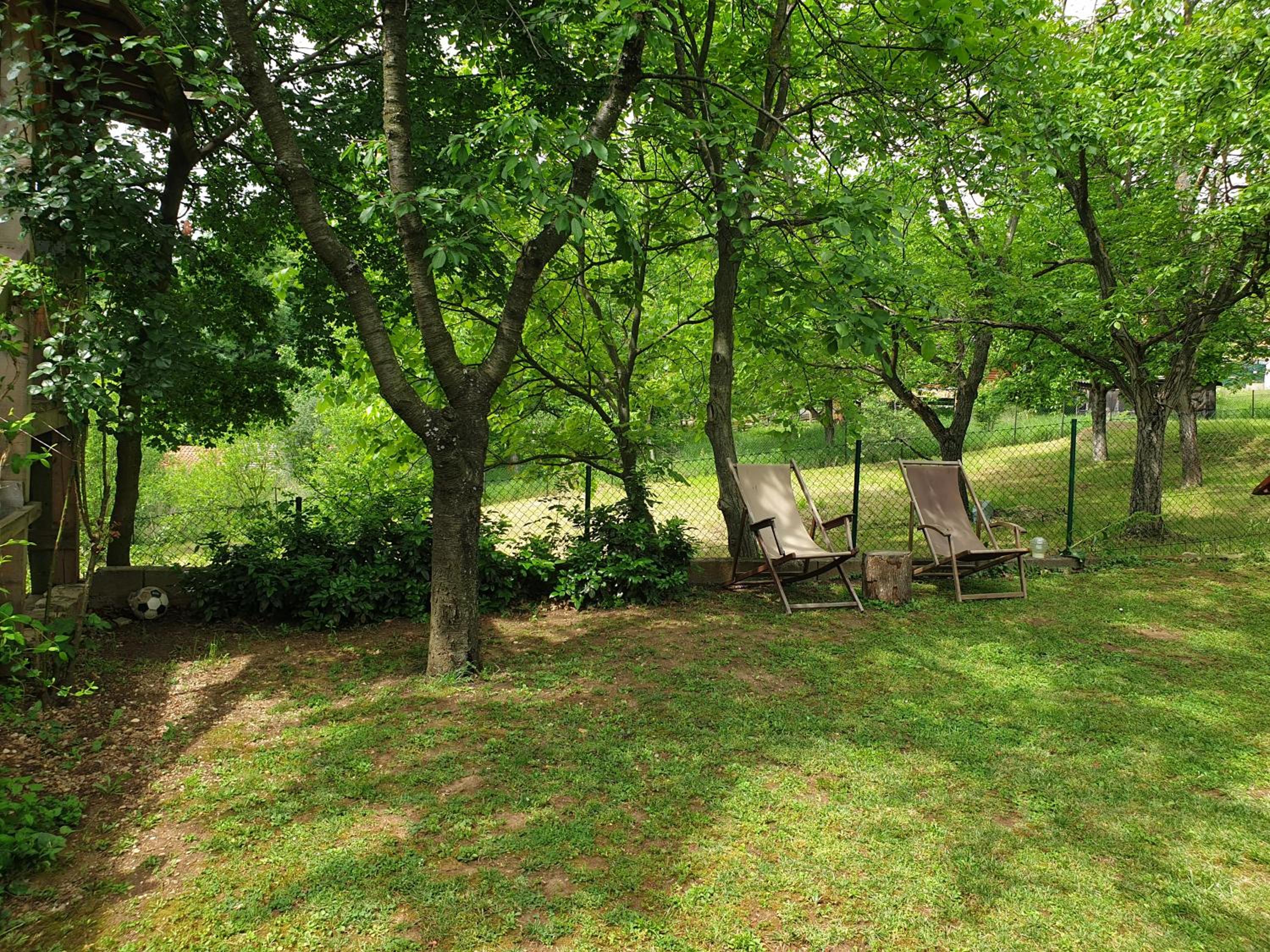 Log cabin view 2