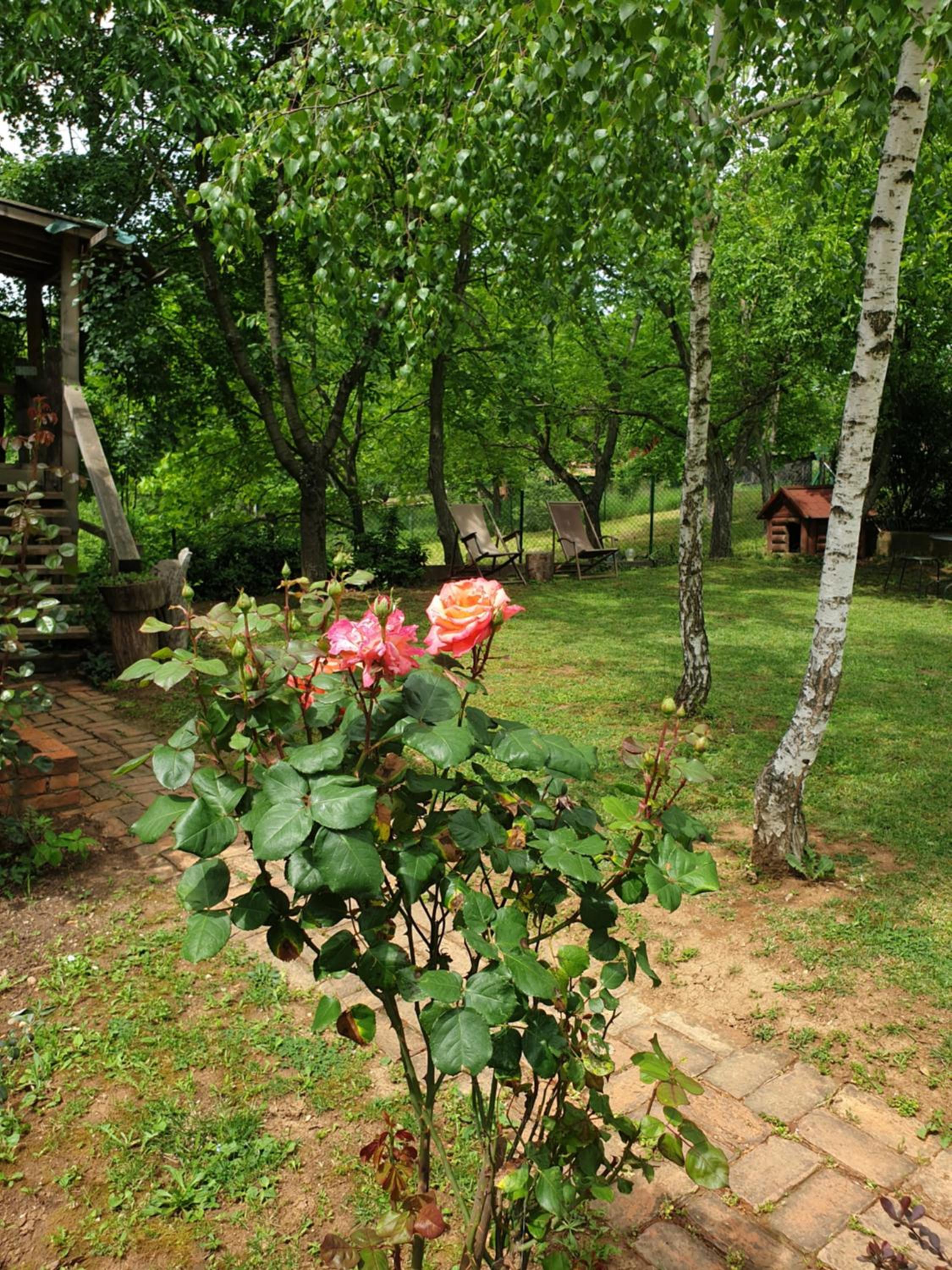 Photo 15